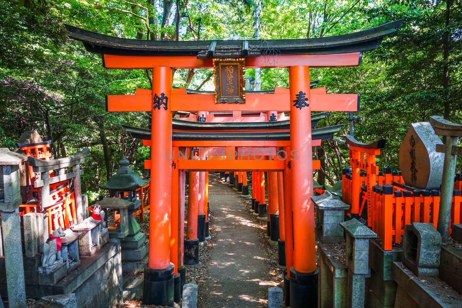 Fushimi Inari Taisha torii, Kyoto, Japan by daboost