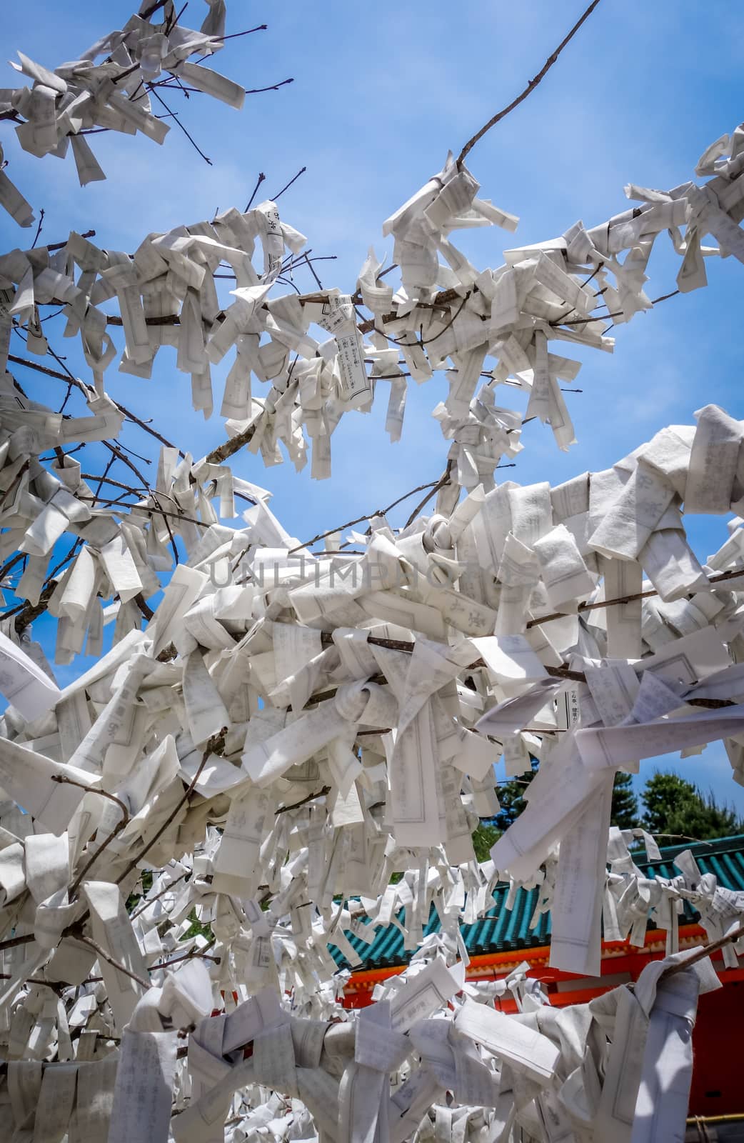 Omikuji tree Heian Jingu Shrine temple in Kyoto, Japan