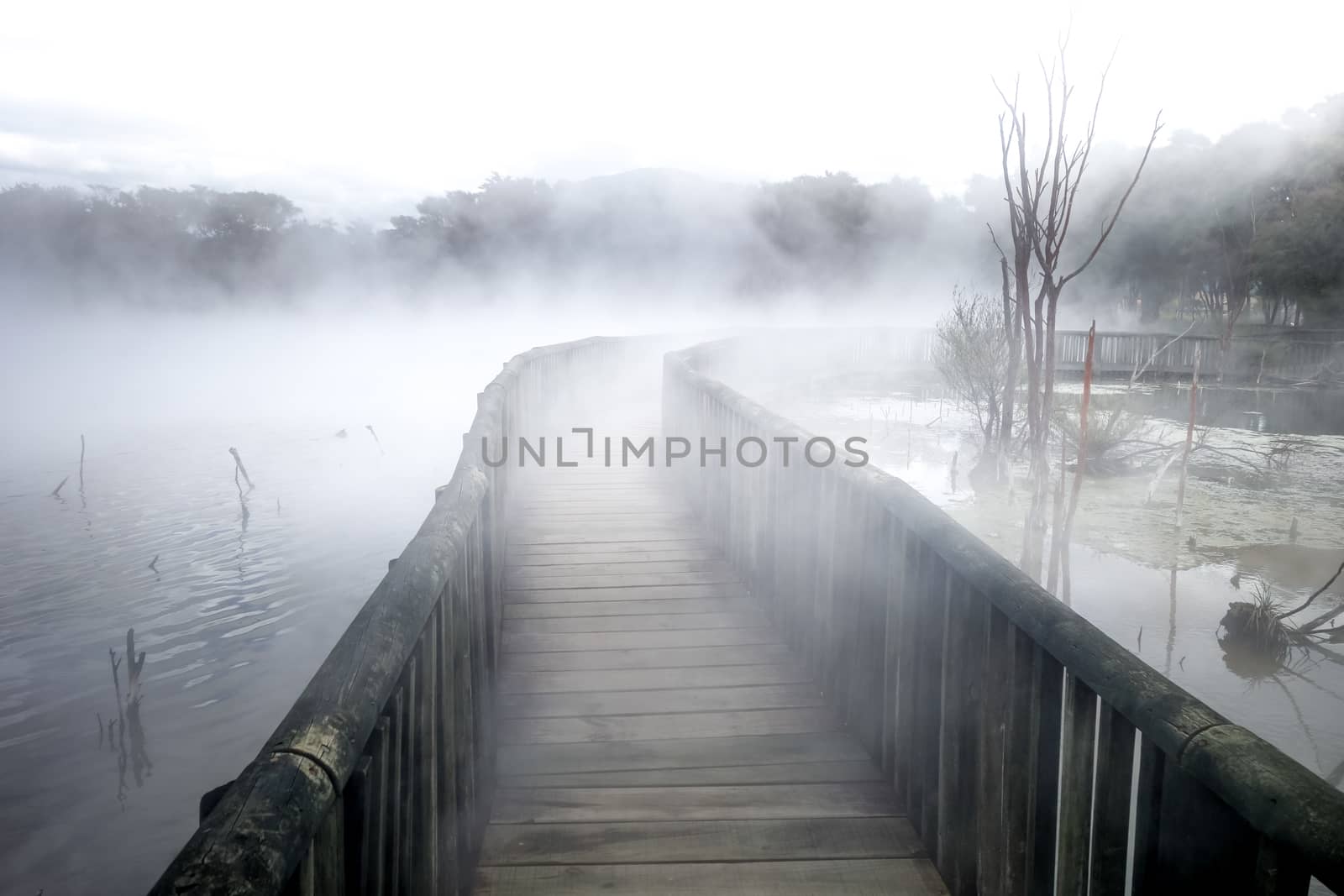 Bridge on a misty lake in Rotorua, New Zealand by daboost