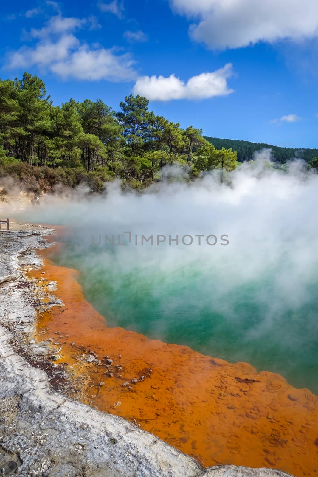 Champagne Pool hot lake in Waiotapu, Rotorua, New Zealand by daboost