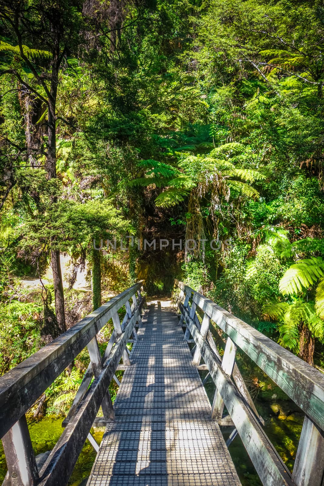 Bridge on a river. Abel Tasman National Park, New Zealand by daboost