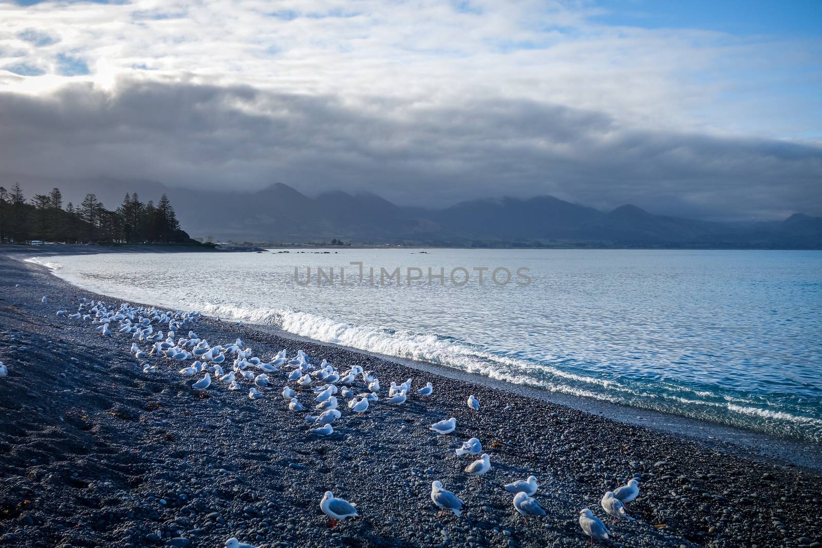 Kaikoura coast and beach, New Zealand by daboost