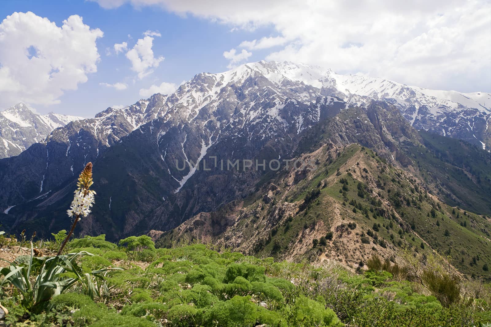 Chimgan mountains, Uzbekistan, on a sunny day
