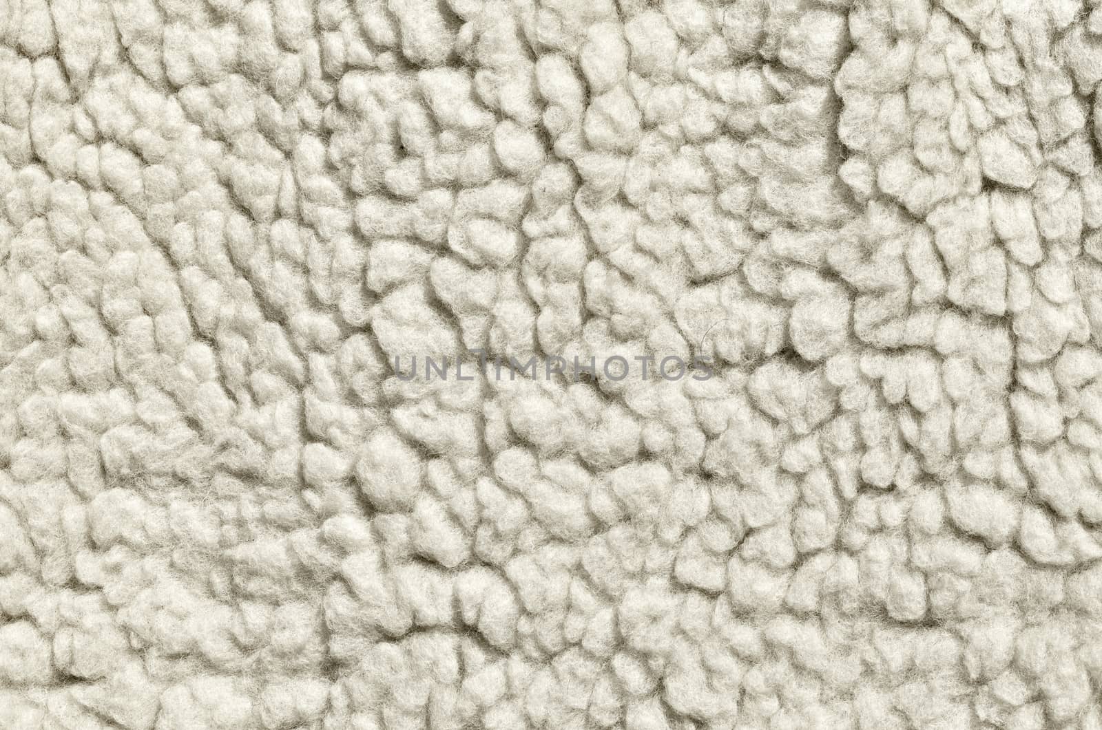 Macro shot of white felted wool for texture or background