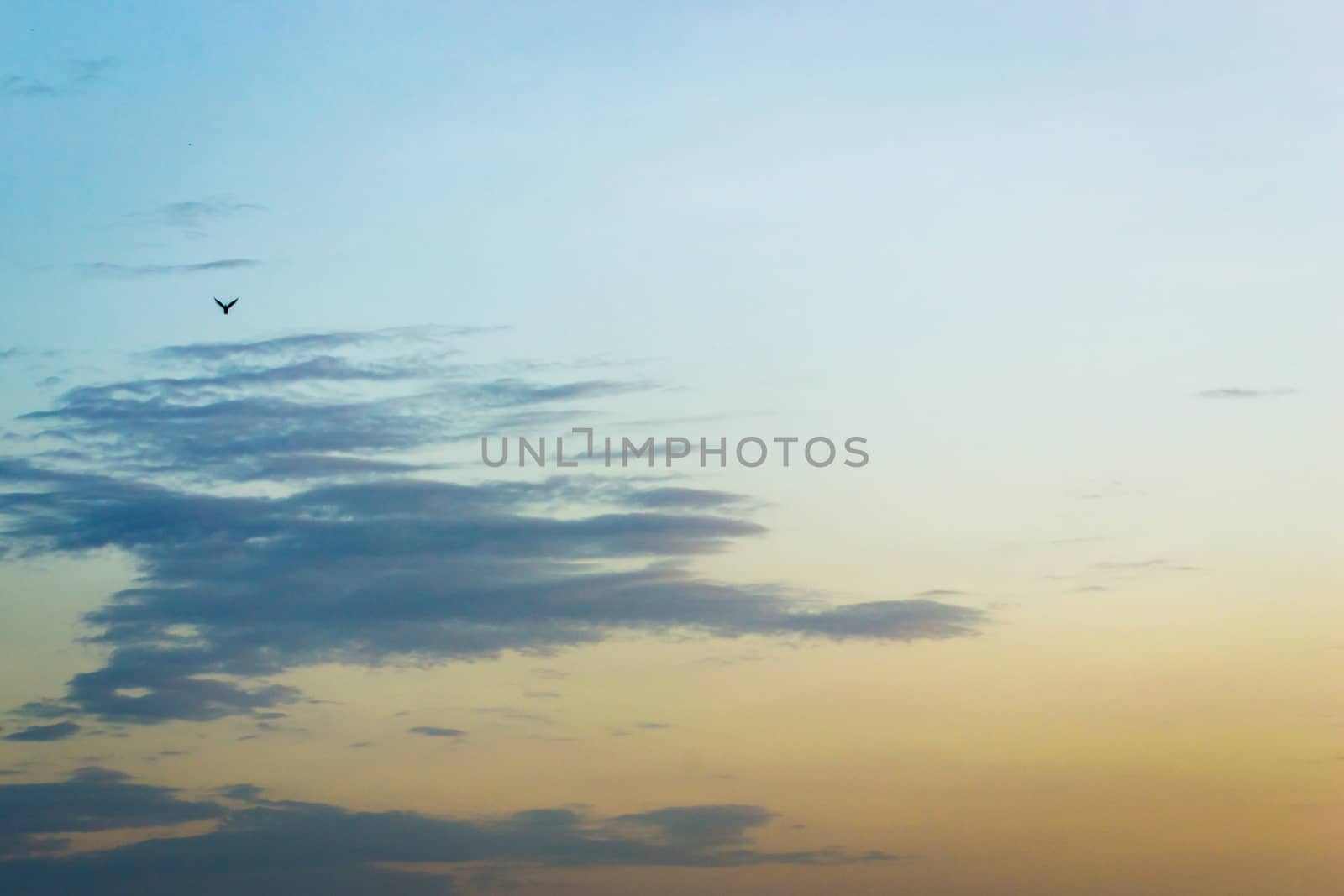 sky with purple hues, the evening traveling to a beautiful sky clouds