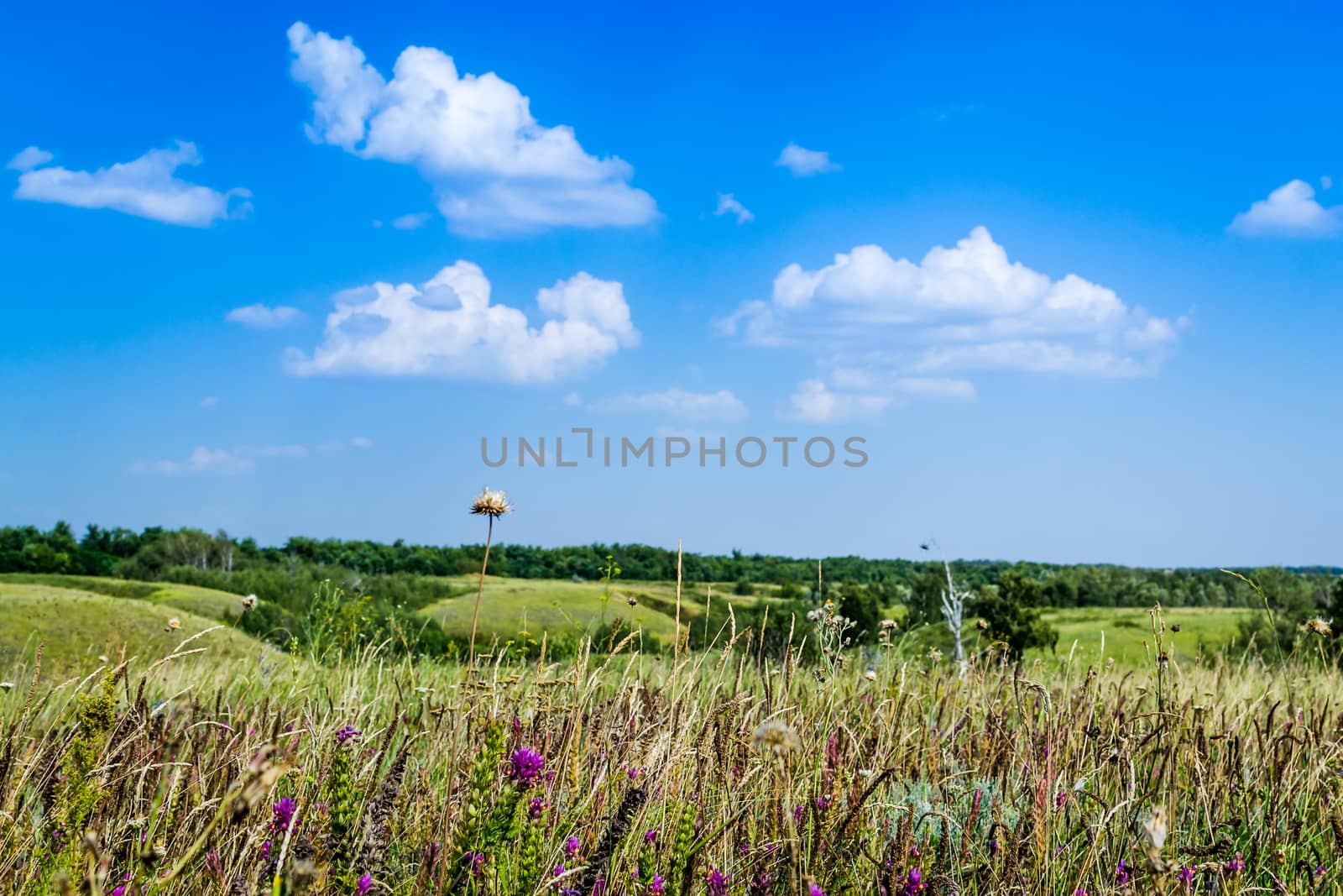 landscape field mountain expanse trip to the South of Russia, Bashkiria, Urals, Ural mountains