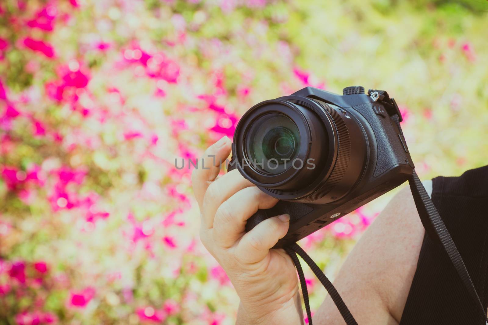 Camera in the hands of women photographer outdoor