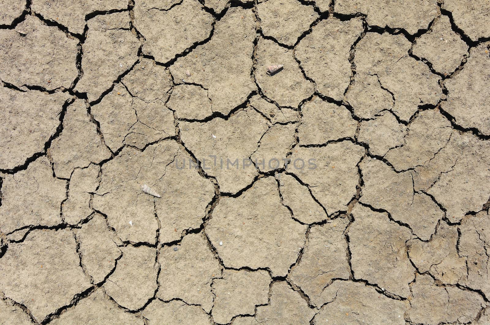 Ground parched by drought in the country.