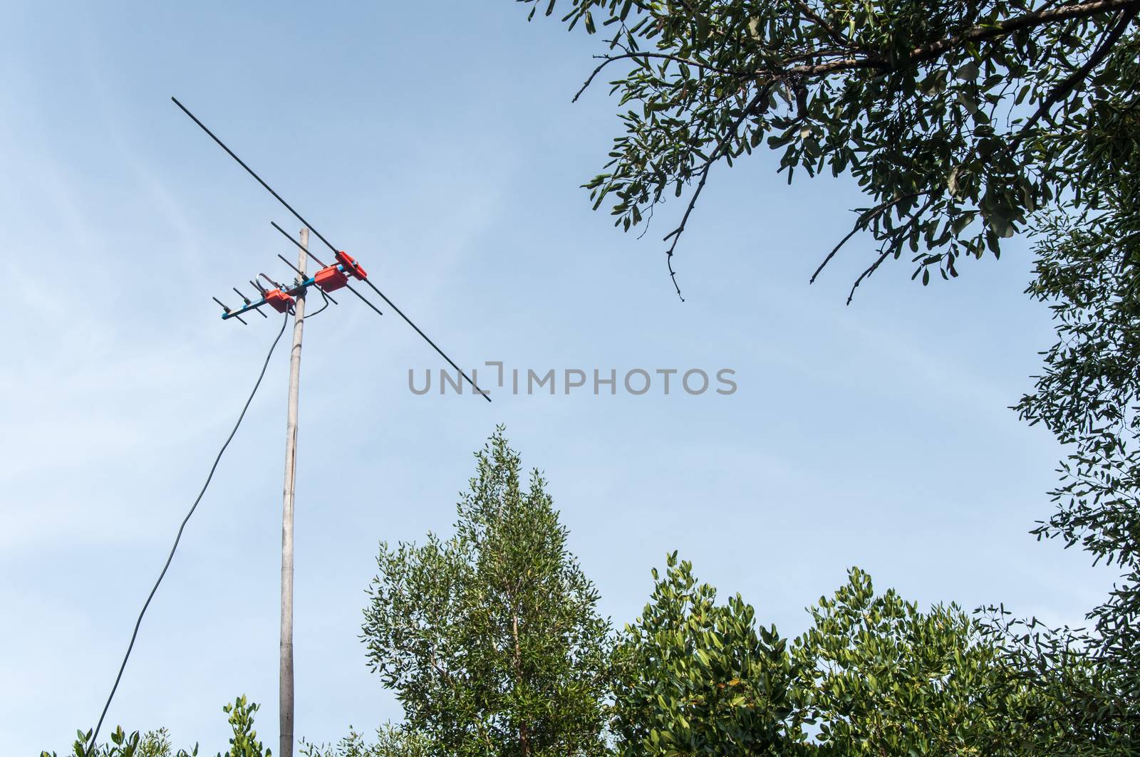 Fishbone antennas used by villages in rural Thailand.