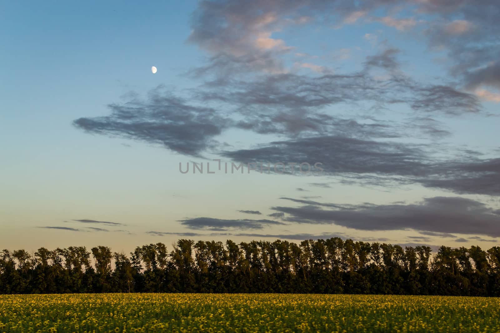 landscape field mountain expanse trip to the South of Russia, Bashkiria, Urals, Ural mountains