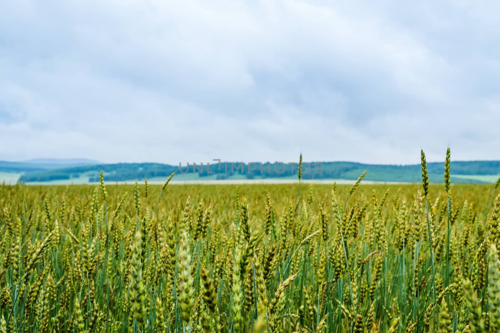 landscape field mountain expanse trip to the South of Russia, Bashkiria, Urals, Ural mountains