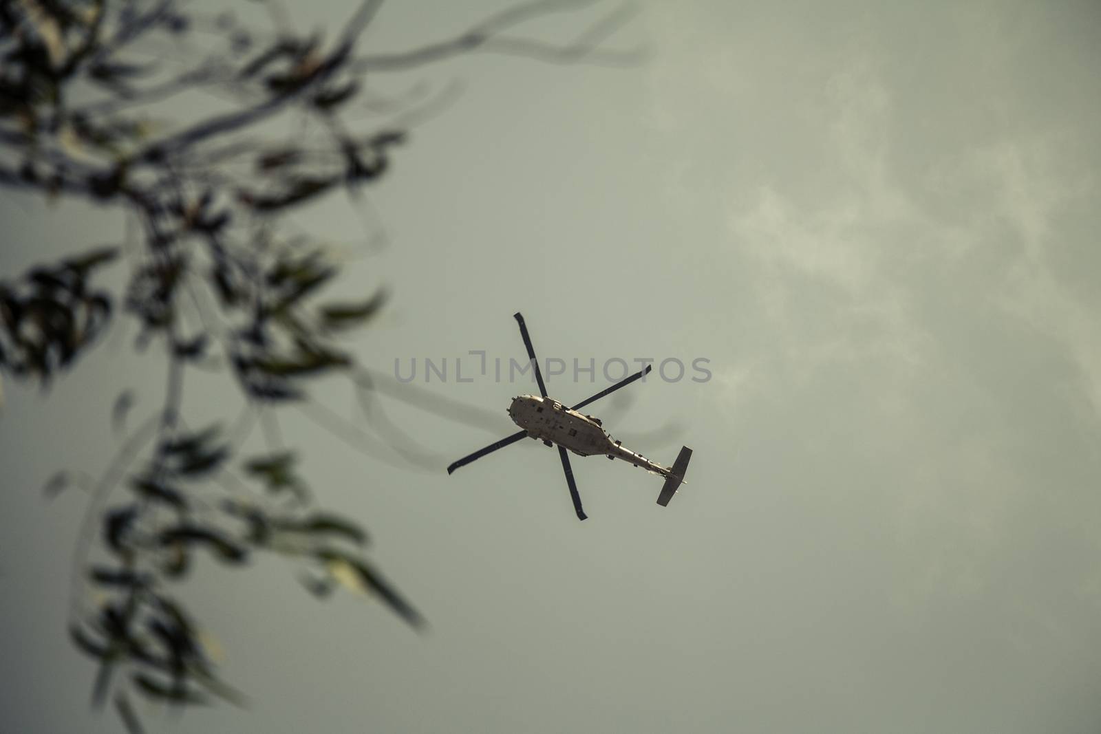 Israeli military UH-60 Black Hawk helicopter flying in the sky. Low angle view.