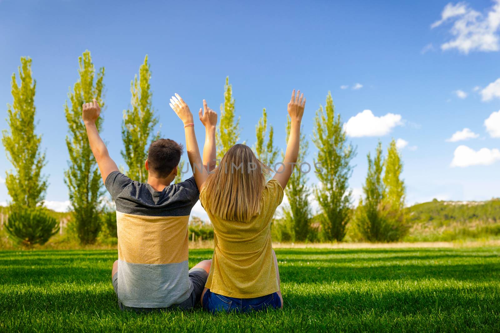 Back view of a young couple sitting on the grass with arms on the air