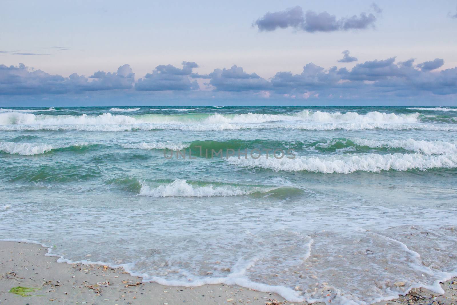Sea coastal waves rolling on empty sandy beach, stormy cloudy sunrise skyview
