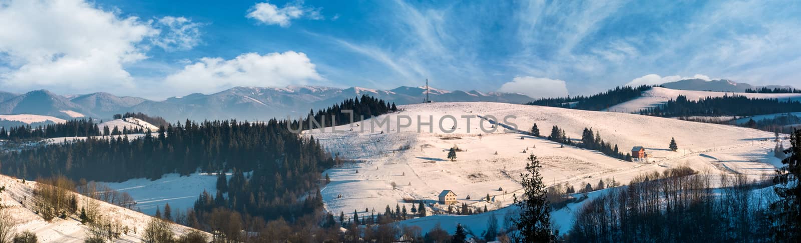 panorama of rural area in winter Carpathians. agricultural fields and spruce forests on snowy hillsides. huge mountain ridge in the distance