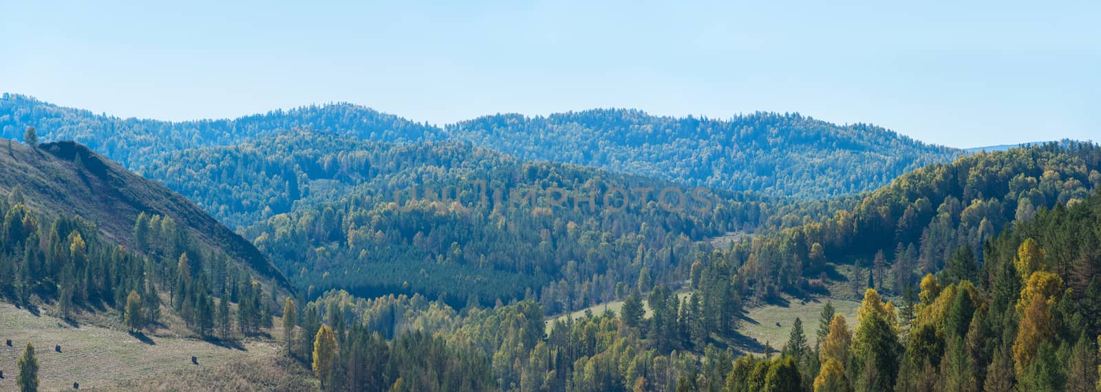 Beauty day in the mountains in Altay, panoramic picture