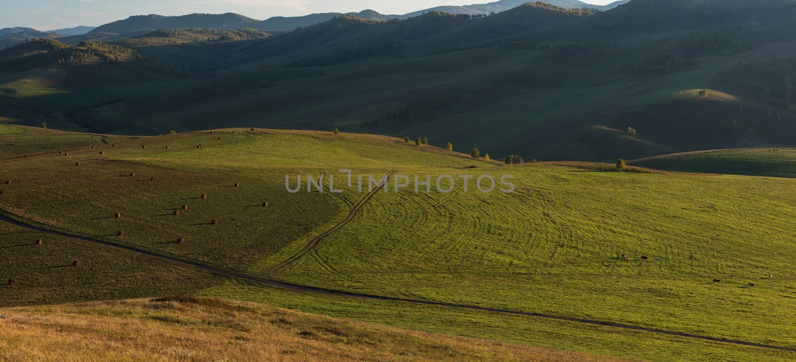 Beauty summer evening in the mountains by rusak