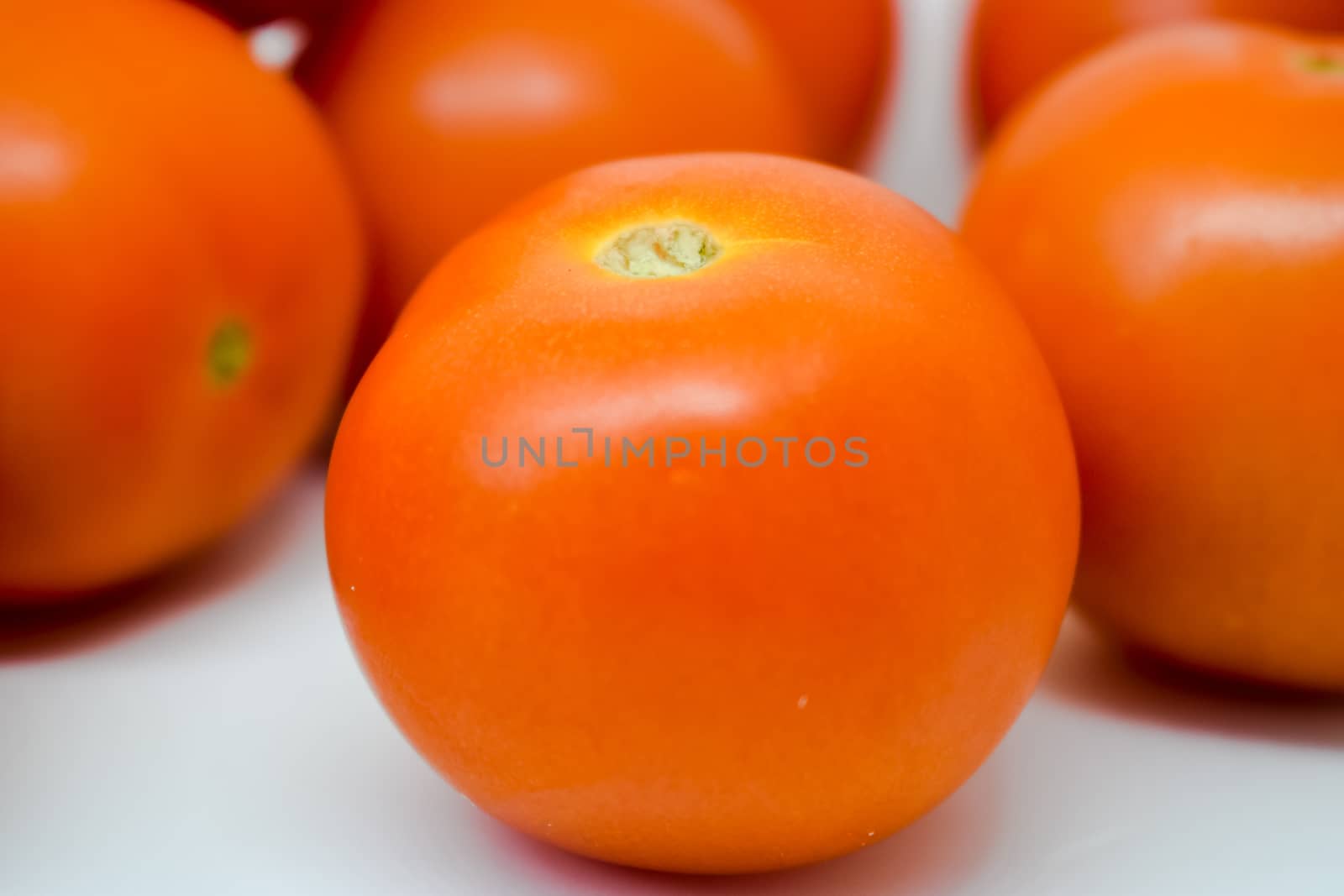 Bright Red Tomatoes on a white background nothing else