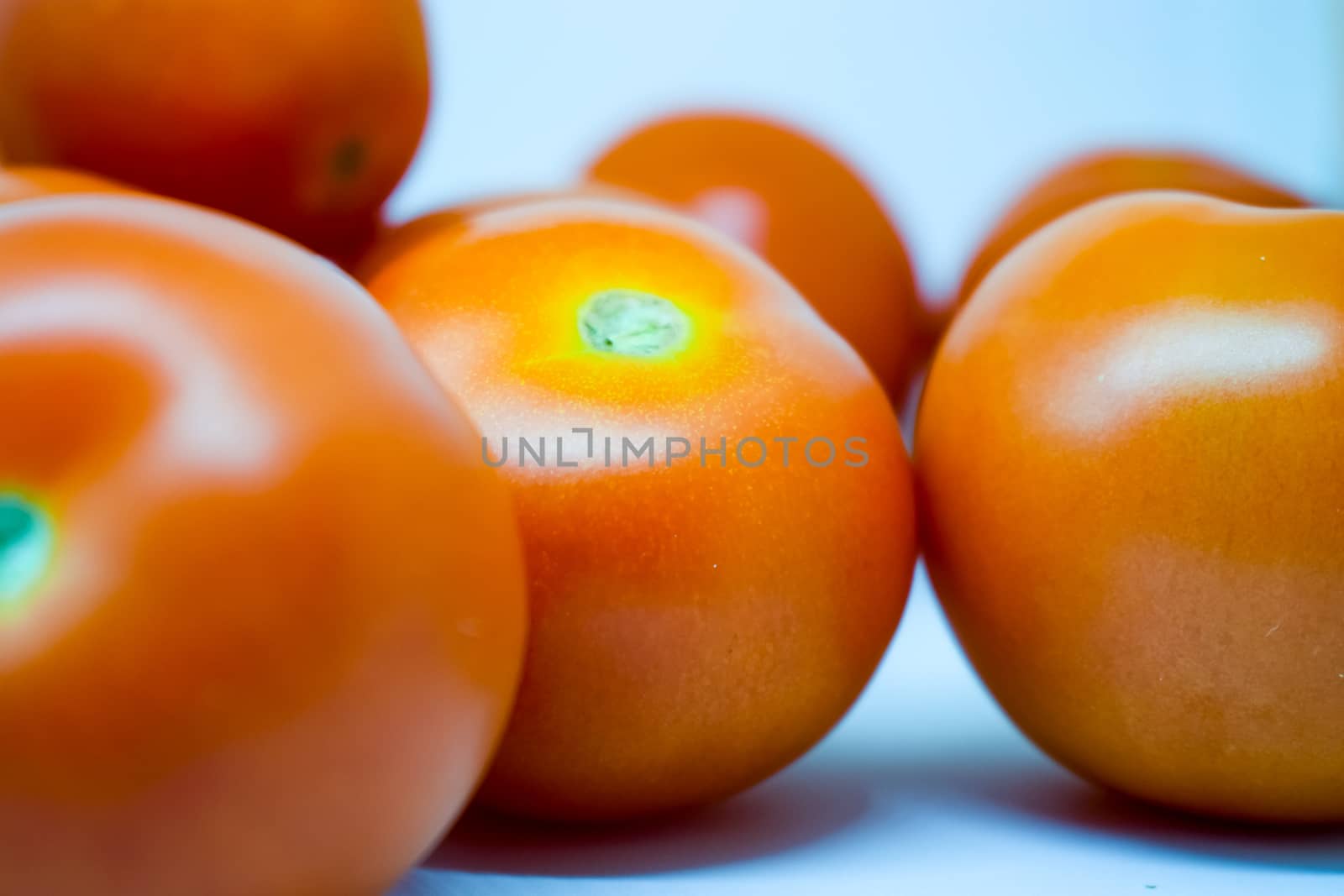 Bright Red Tomatoes on a white background nothing else