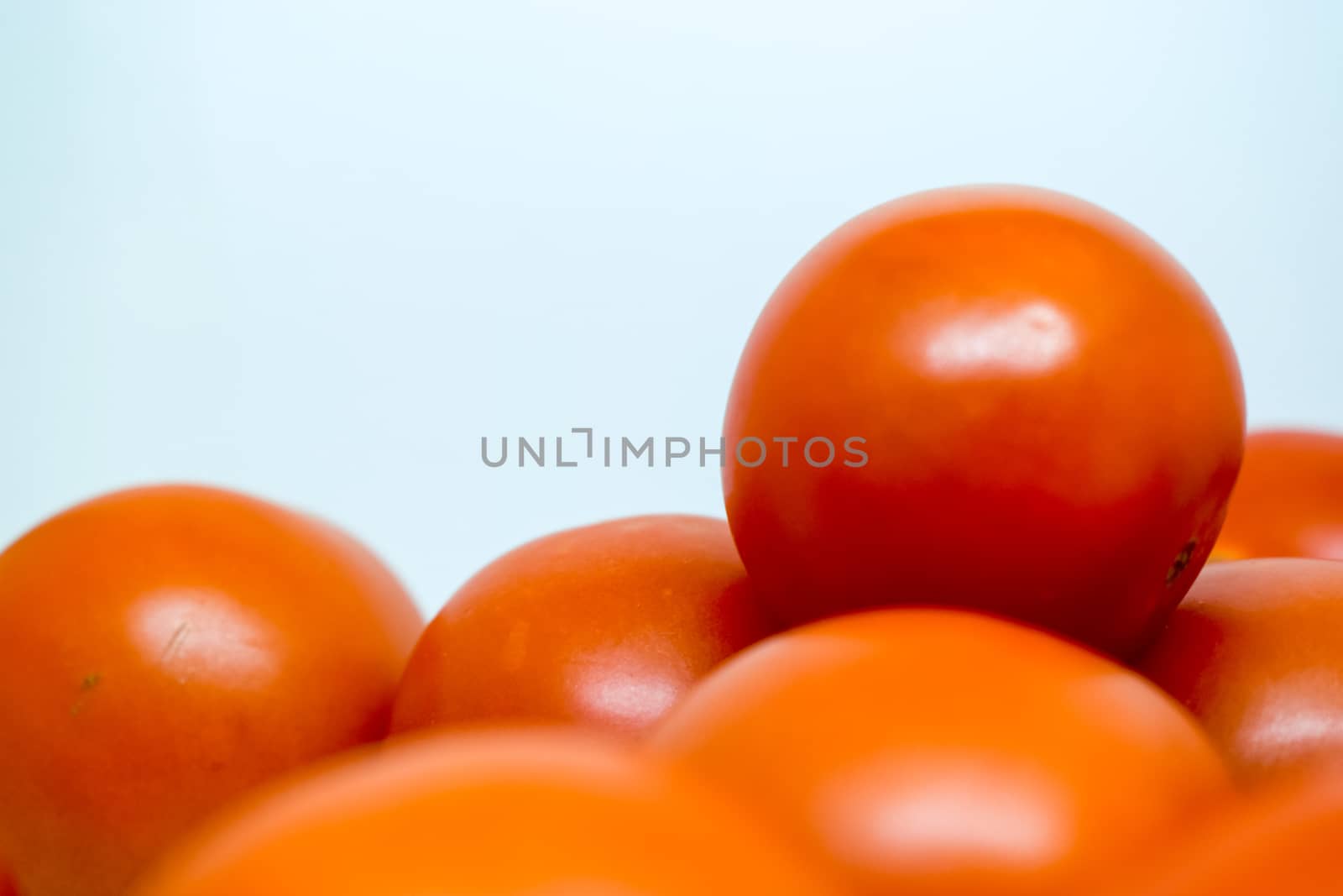 Bright Red Tomatoes on a white background nothing else