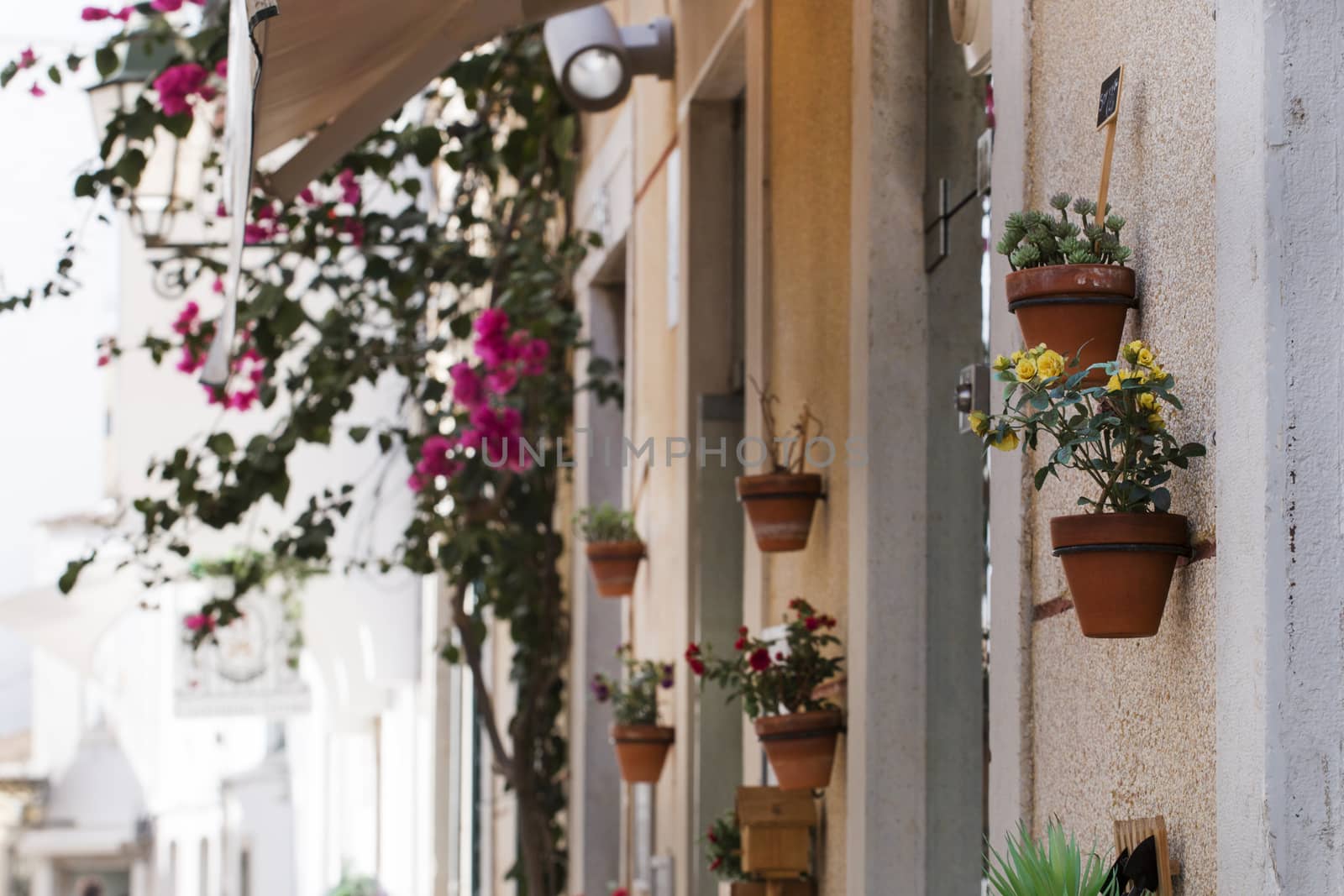 Decorative flower vases on the street by membio