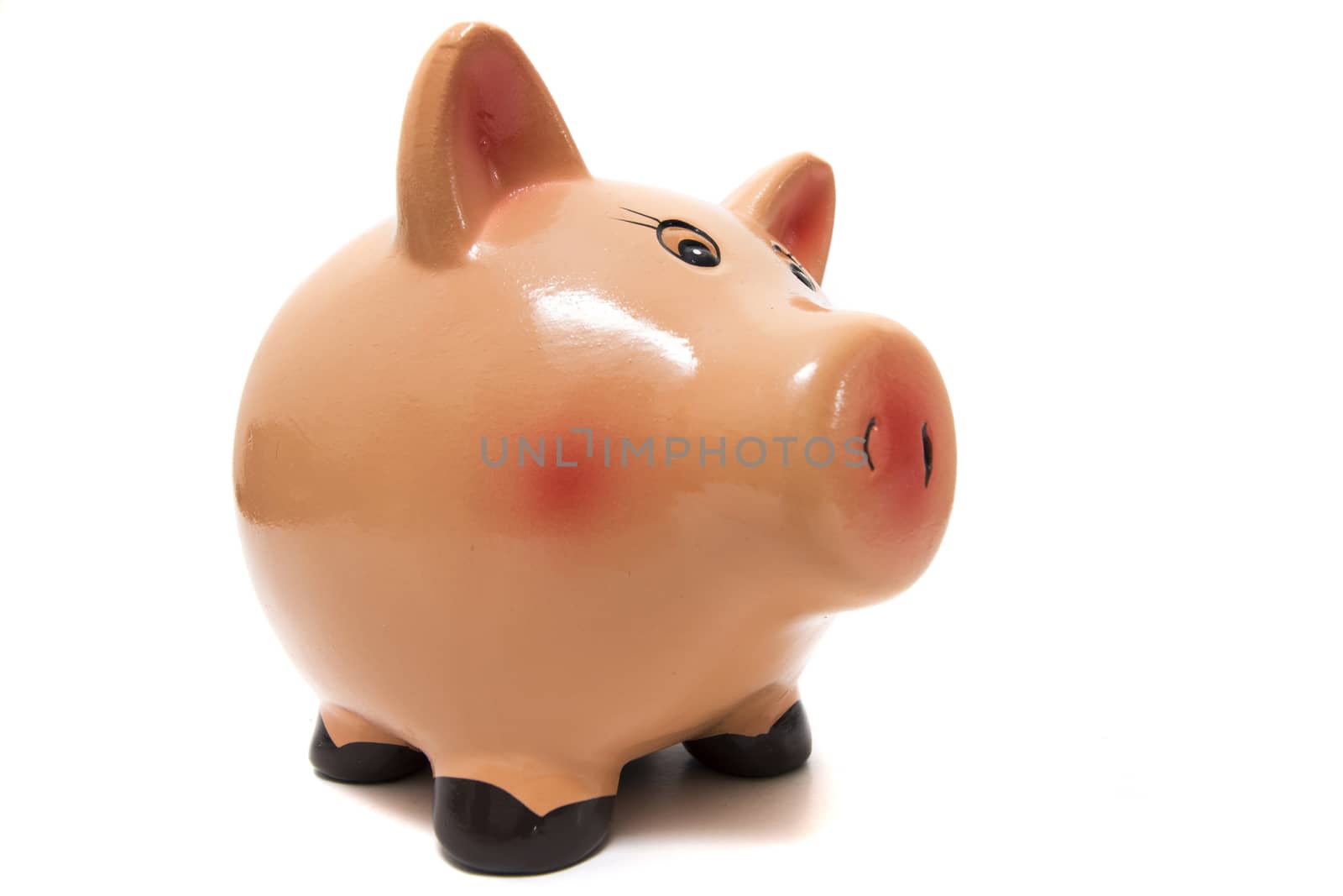 Close up view of a cute pink piggy bank isolated on a white background.