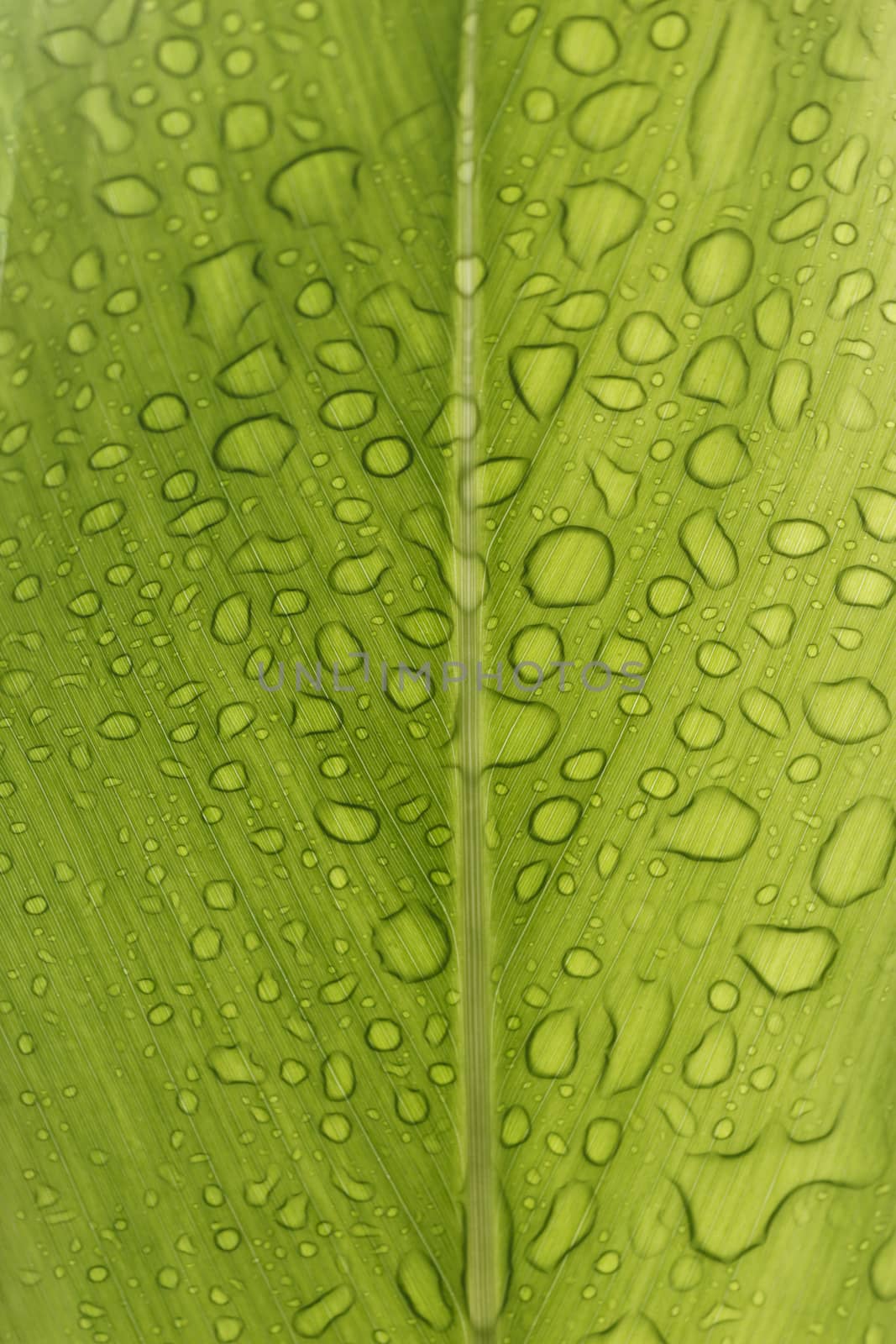 background Drops of water