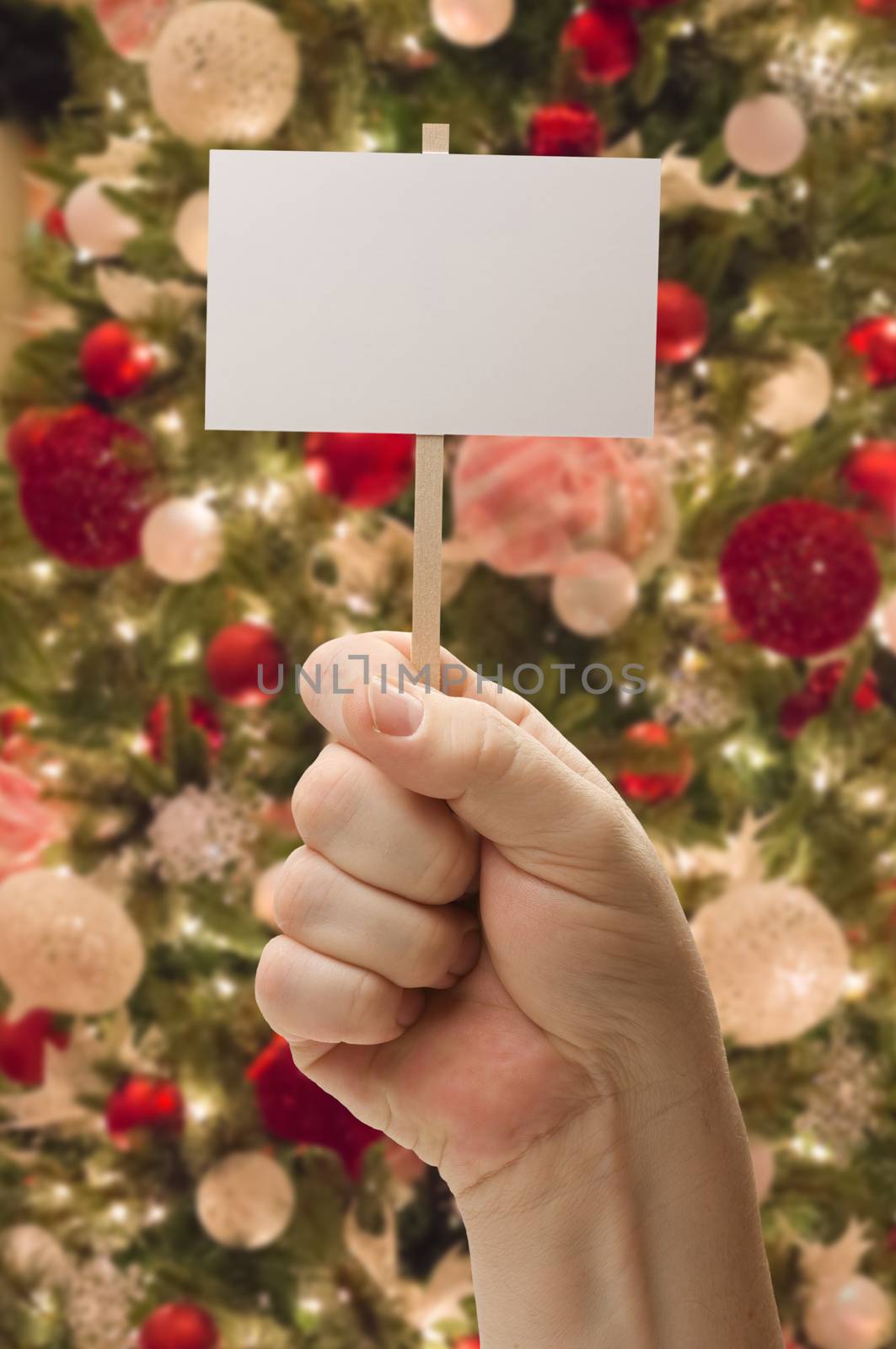 Hand Holding Blank Card In Front of Decorated Christmas Tree.