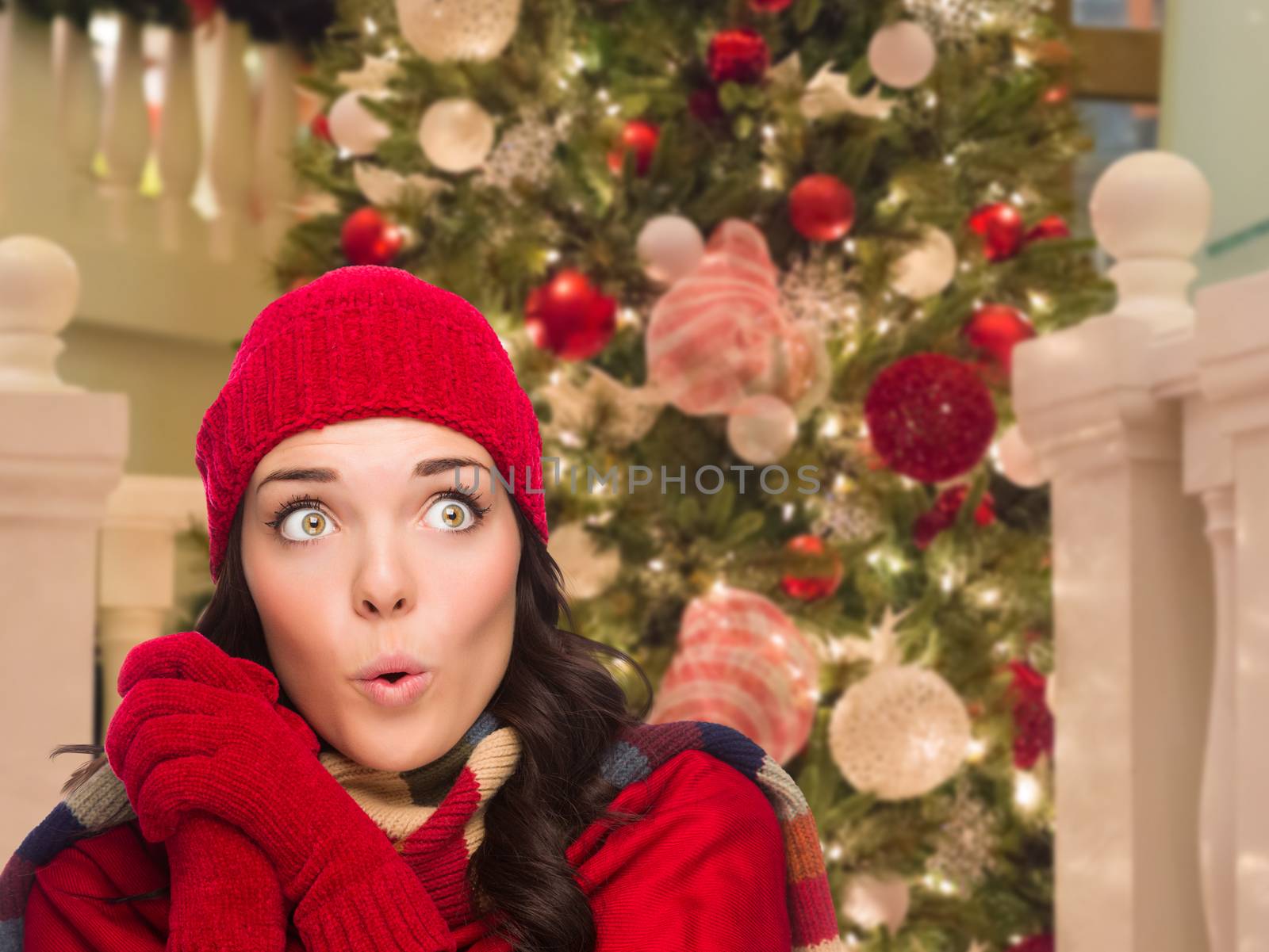Warmly Dressed Female In Front of Decorated Christmas Tree. by Feverpitched