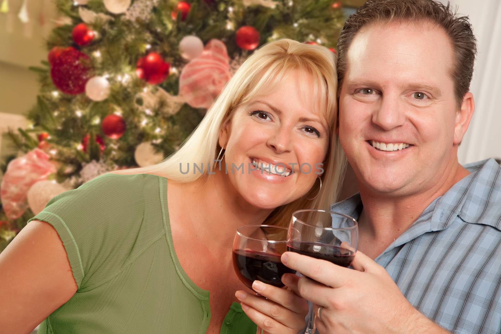 Caucasian Couple Holding Wine Glasses In Front of Decorated Christmas Tree. by Feverpitched