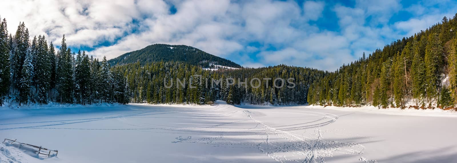 panorama of ice covered Synevyr lake in winter. Gorgeous location in forested Carpathian mountains