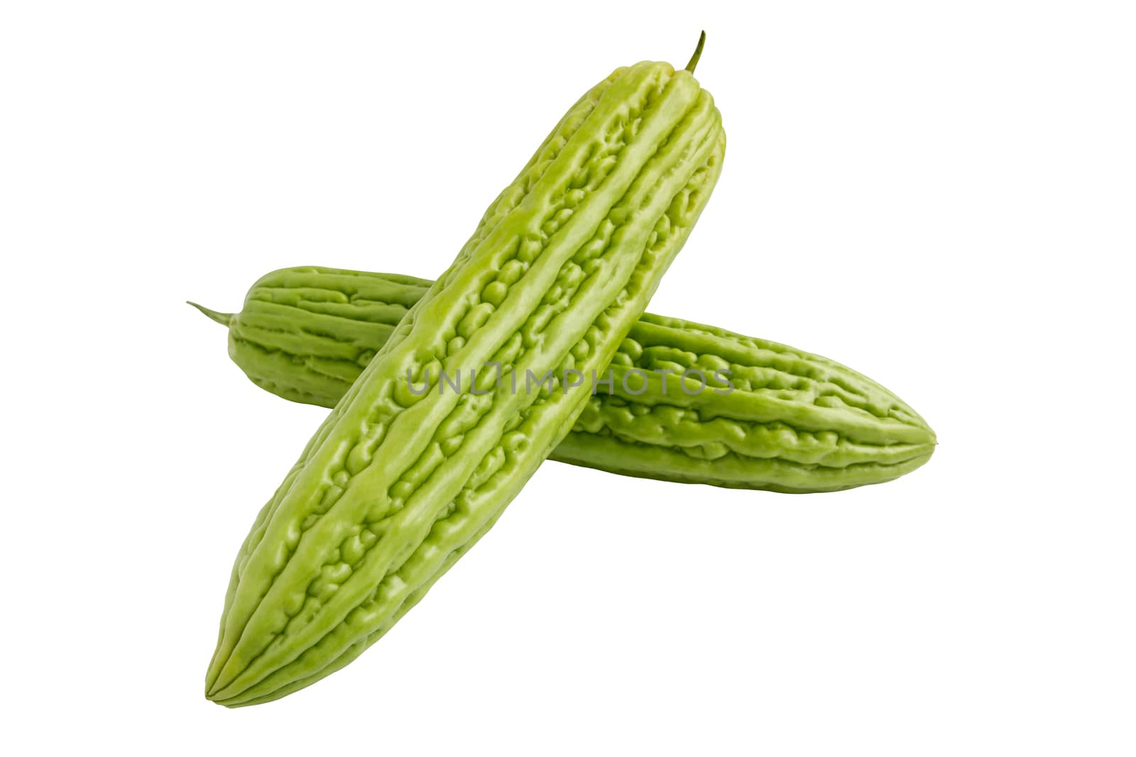 Fresh green bitter cucumber or chinese bitter melon isolated on  by rakoptonLPN