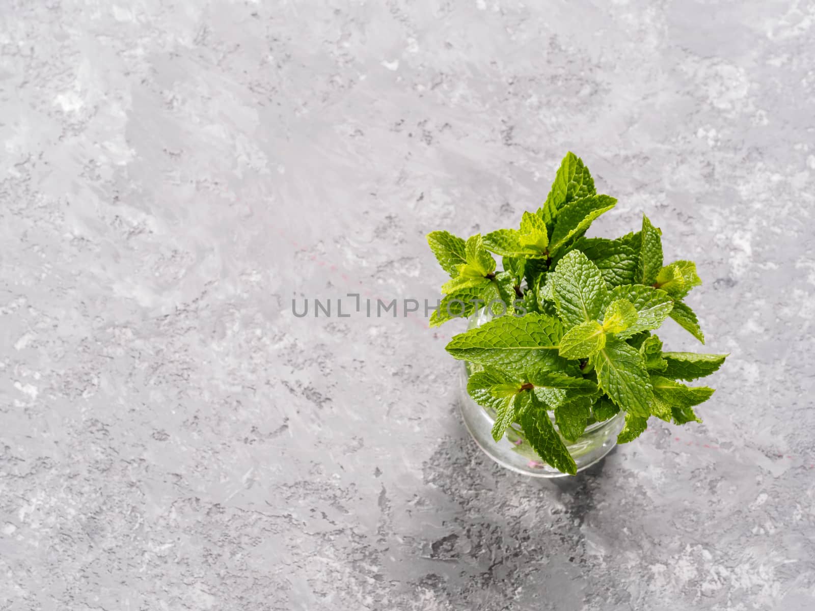 sheaf of fresh mint leaf on gray concrete background. Top view or flat lay. Copy space