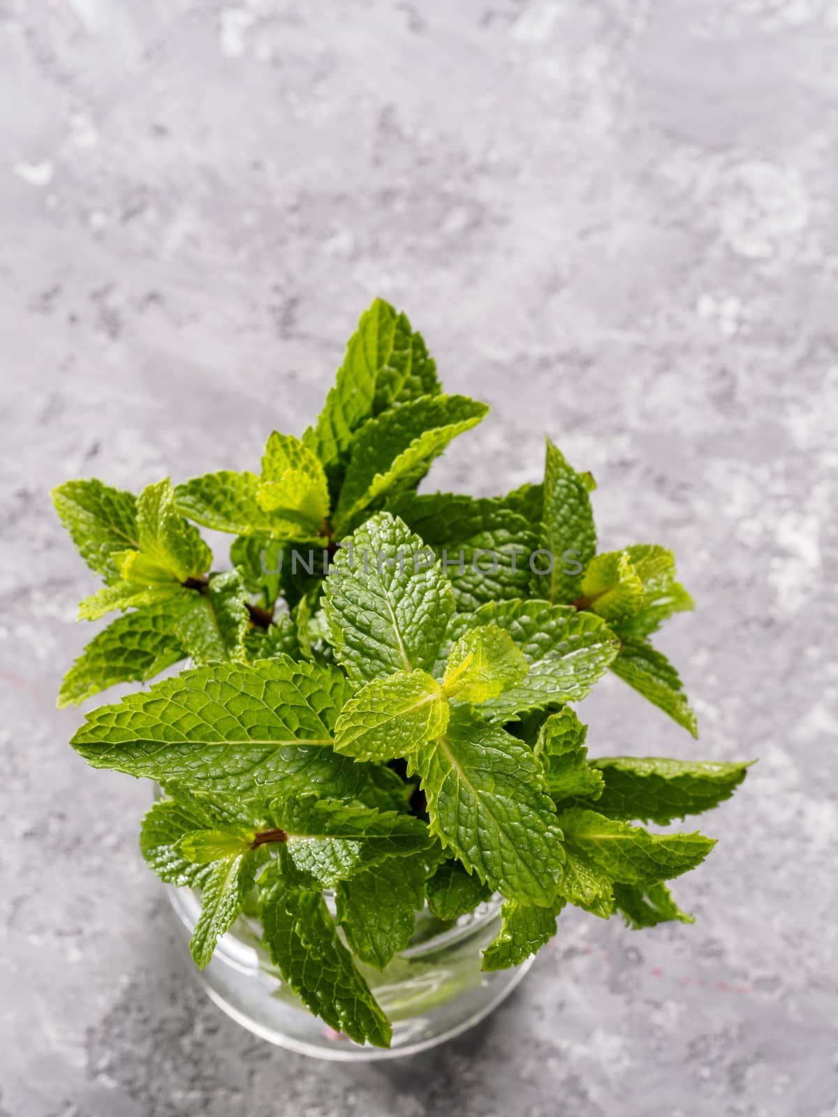 Top view sheaf of fresh mint leaf on gray background by fascinadora