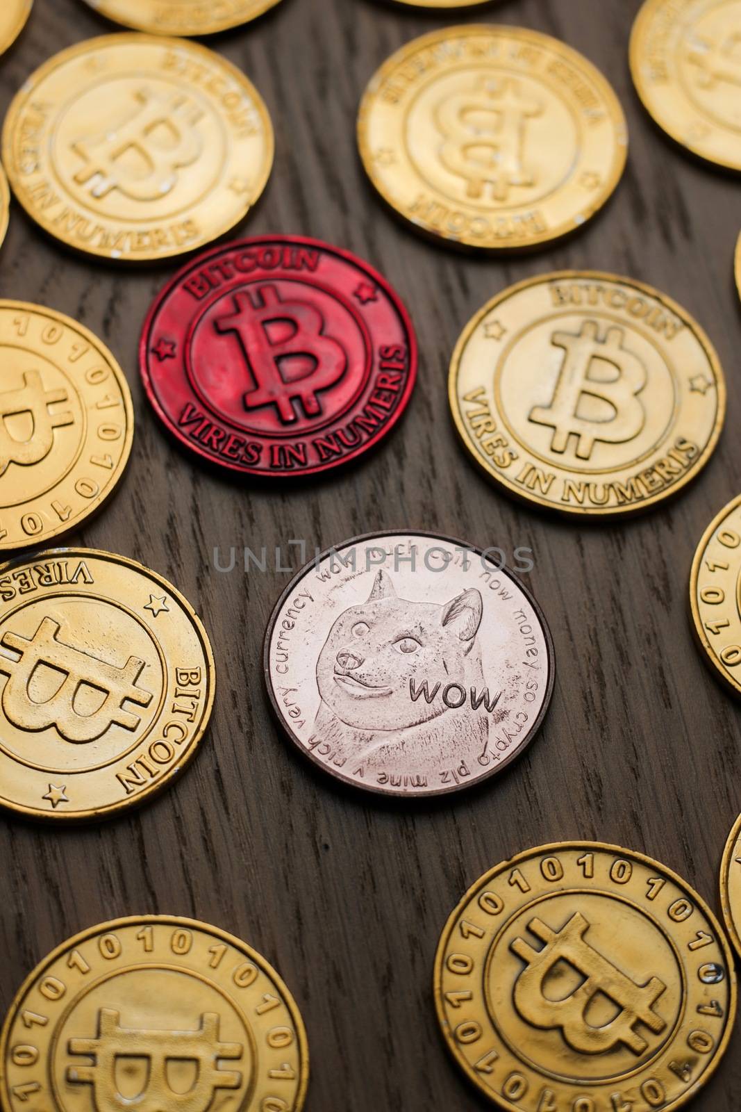 Bitcoin and Dogecoin coins by adriantoday