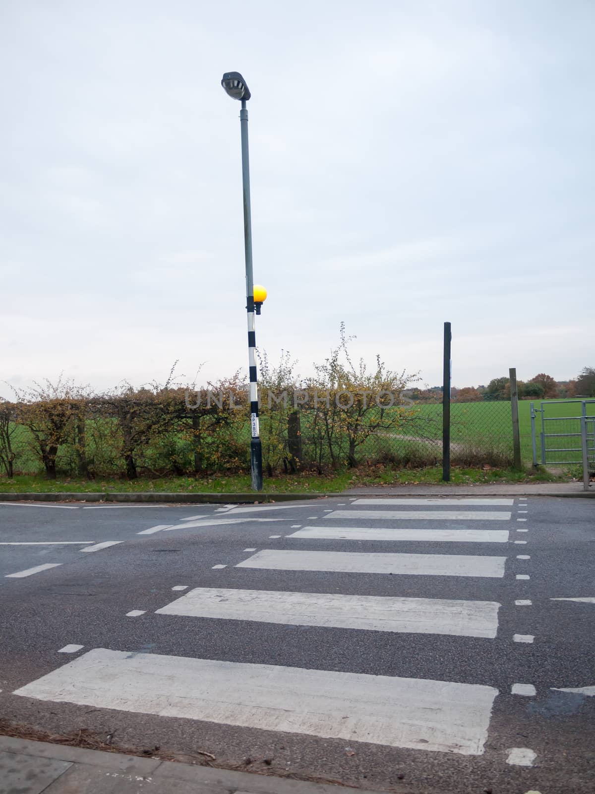clear road zebra crossing road outside pole street lamp; essex; england; uk