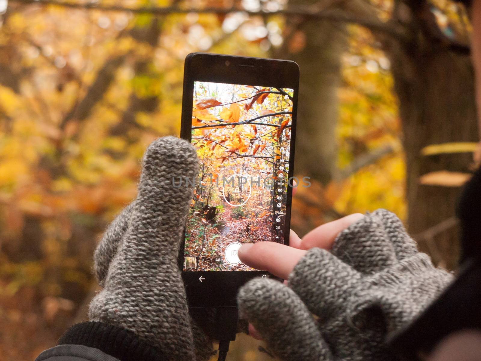 man taking a picture with camera smart phone touch screen nature outside autumn fall; essex; england; uk