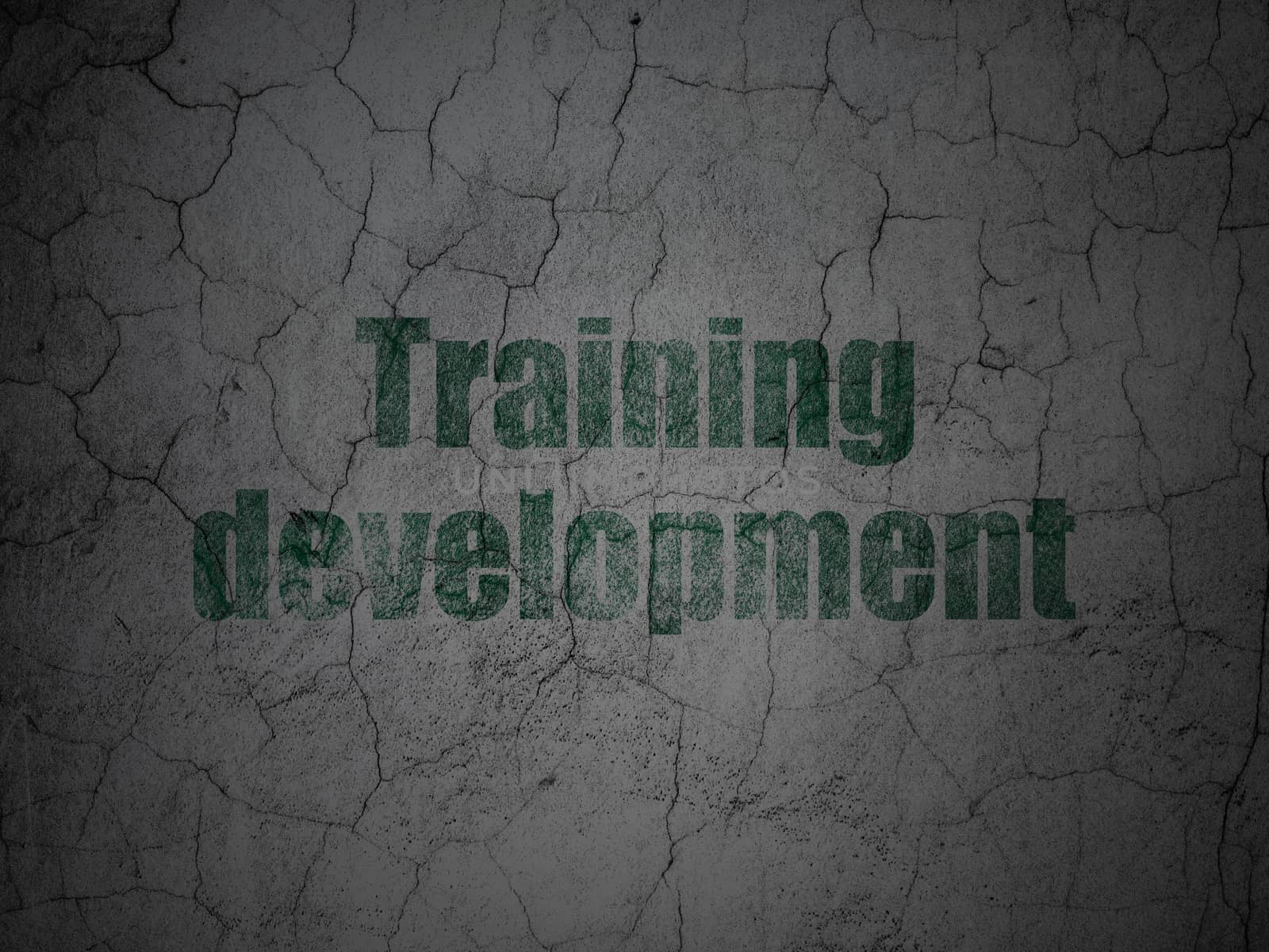 Studying concept: Training Development on grunge wall background by maxkabakov