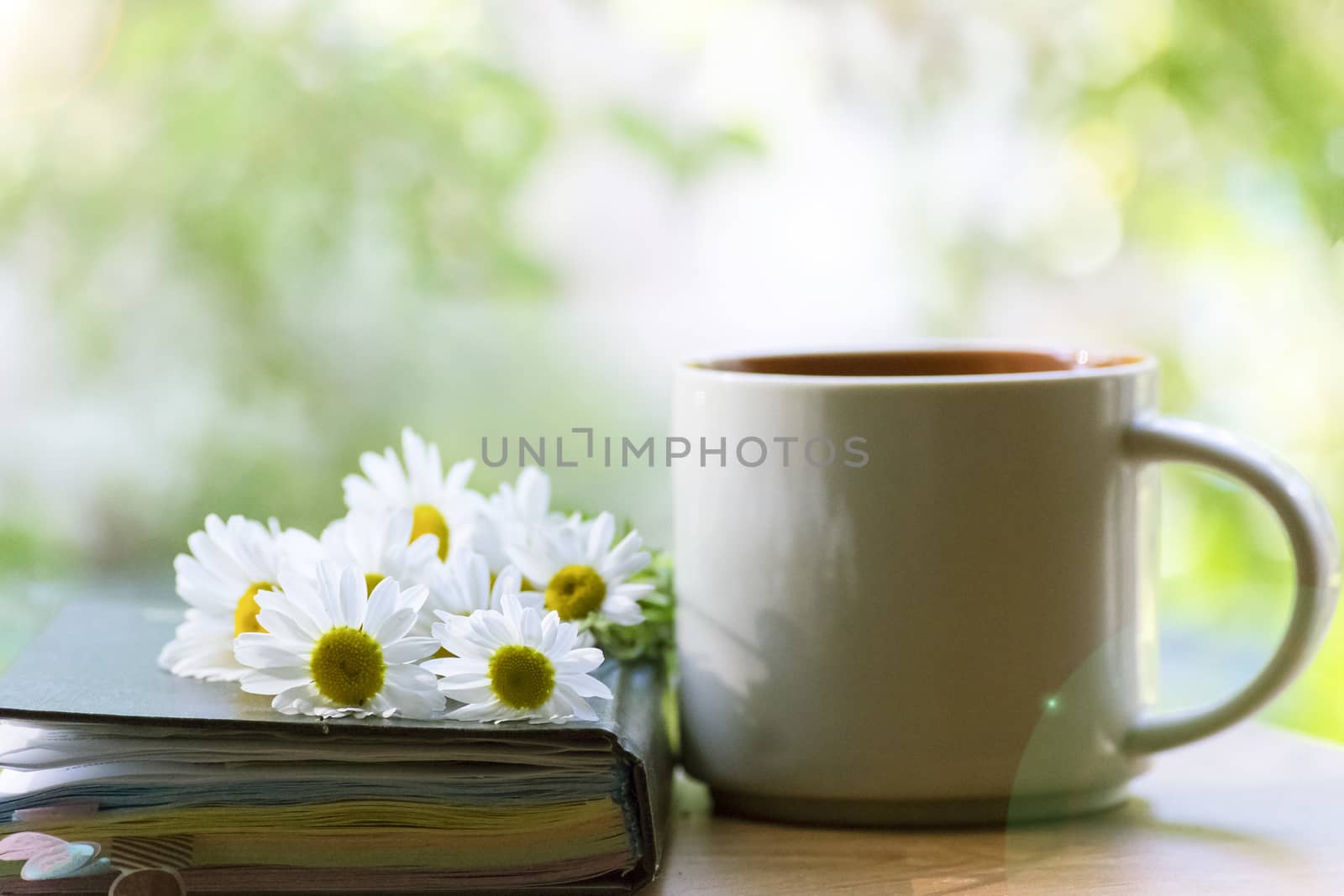 Mug, daisies, Notepad, glasses. The concept of a Sunny summer morning.