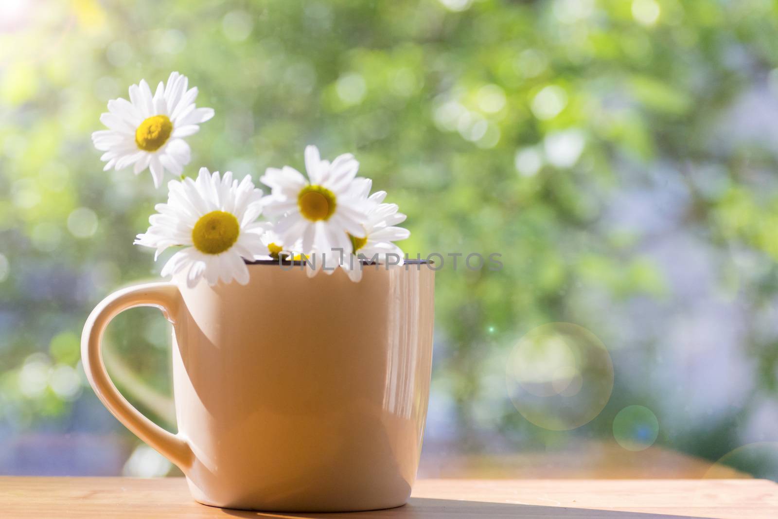 Mug with daisies