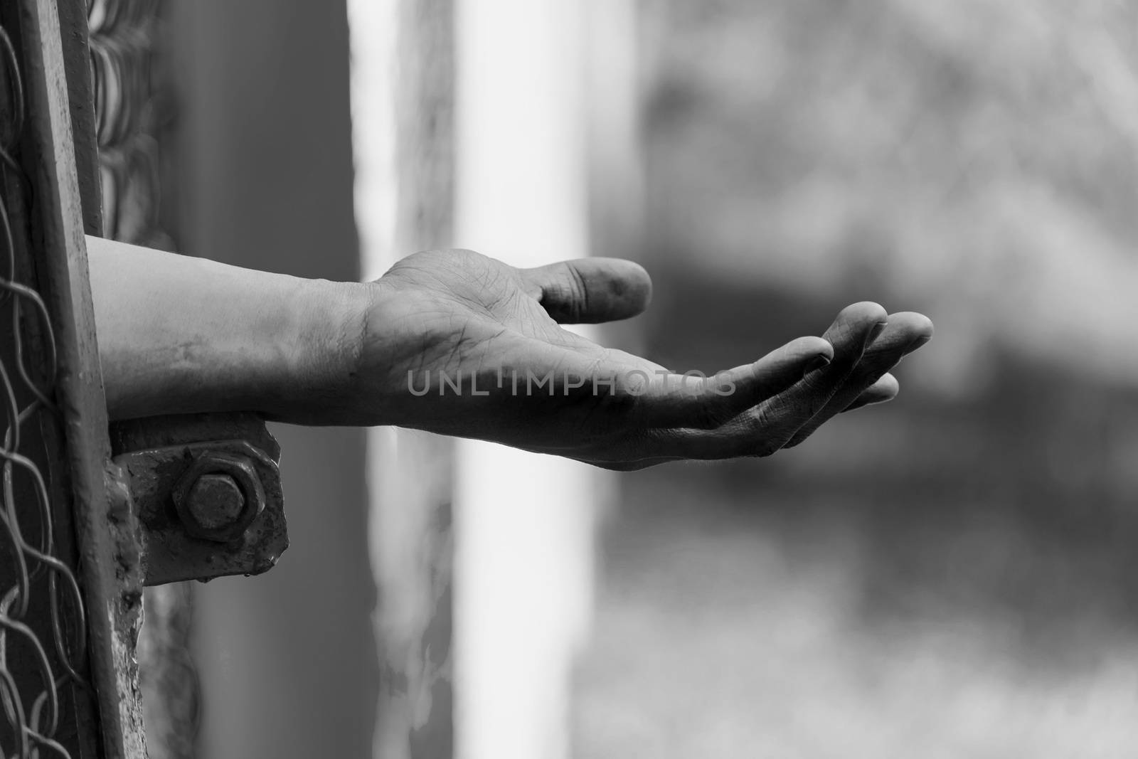 Men's arm stretched through the cage