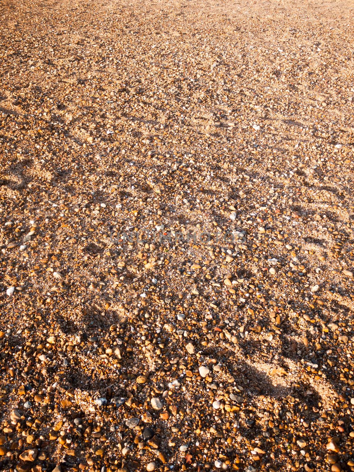 beach floor background texture stones cobbles various wet sun; west mersea, essex, england, uk