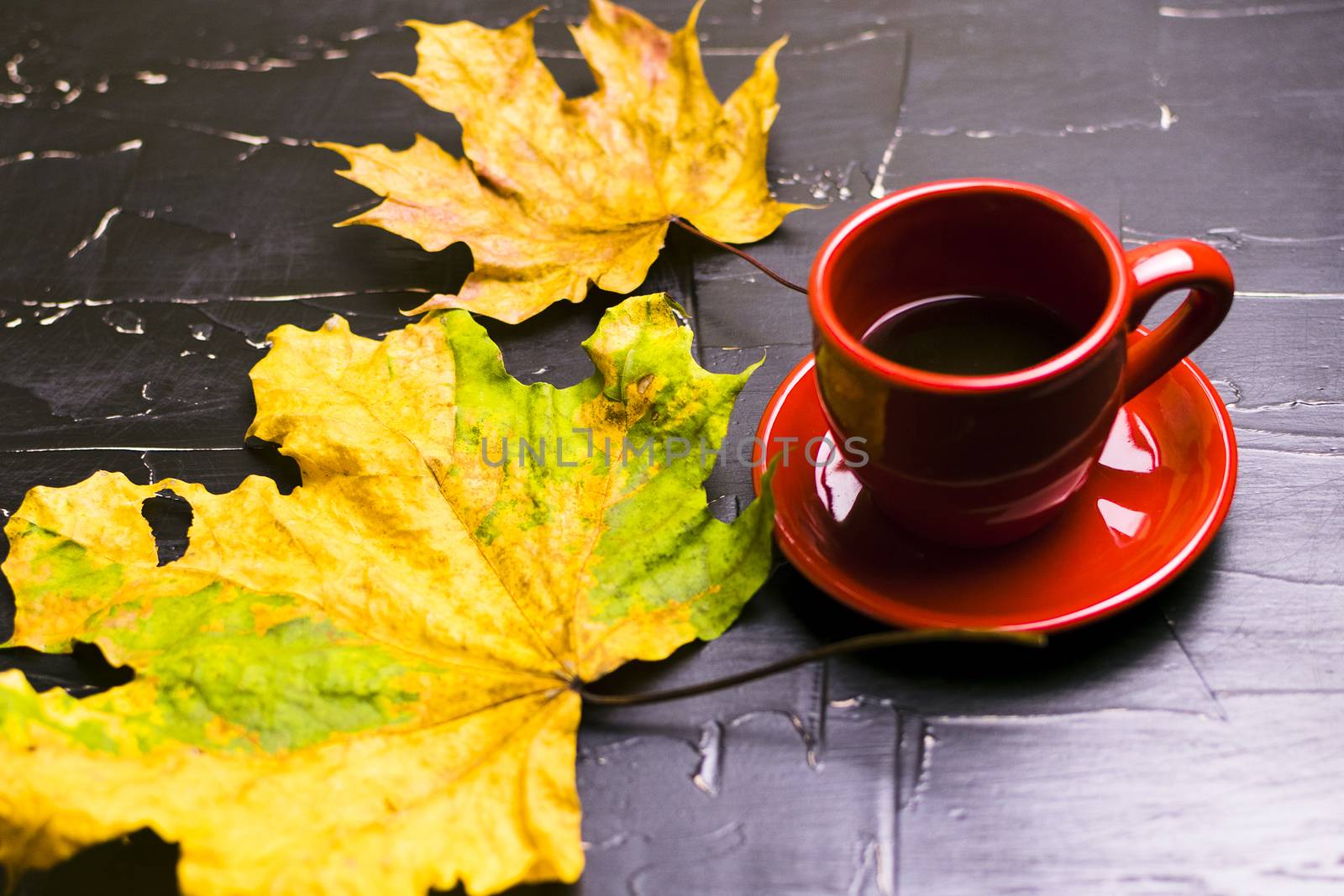 Cup of tea surrounded by autumn leaves. Autumn concept