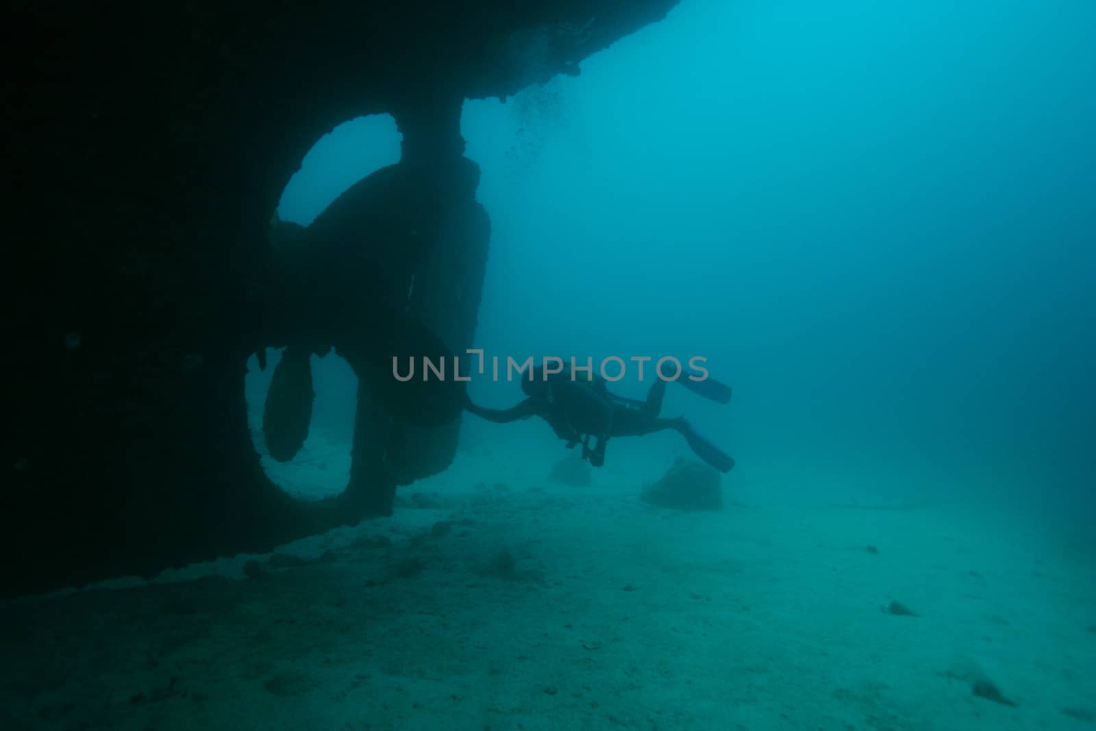 coral life underwater diving safari Caribbean Sea by desant7474