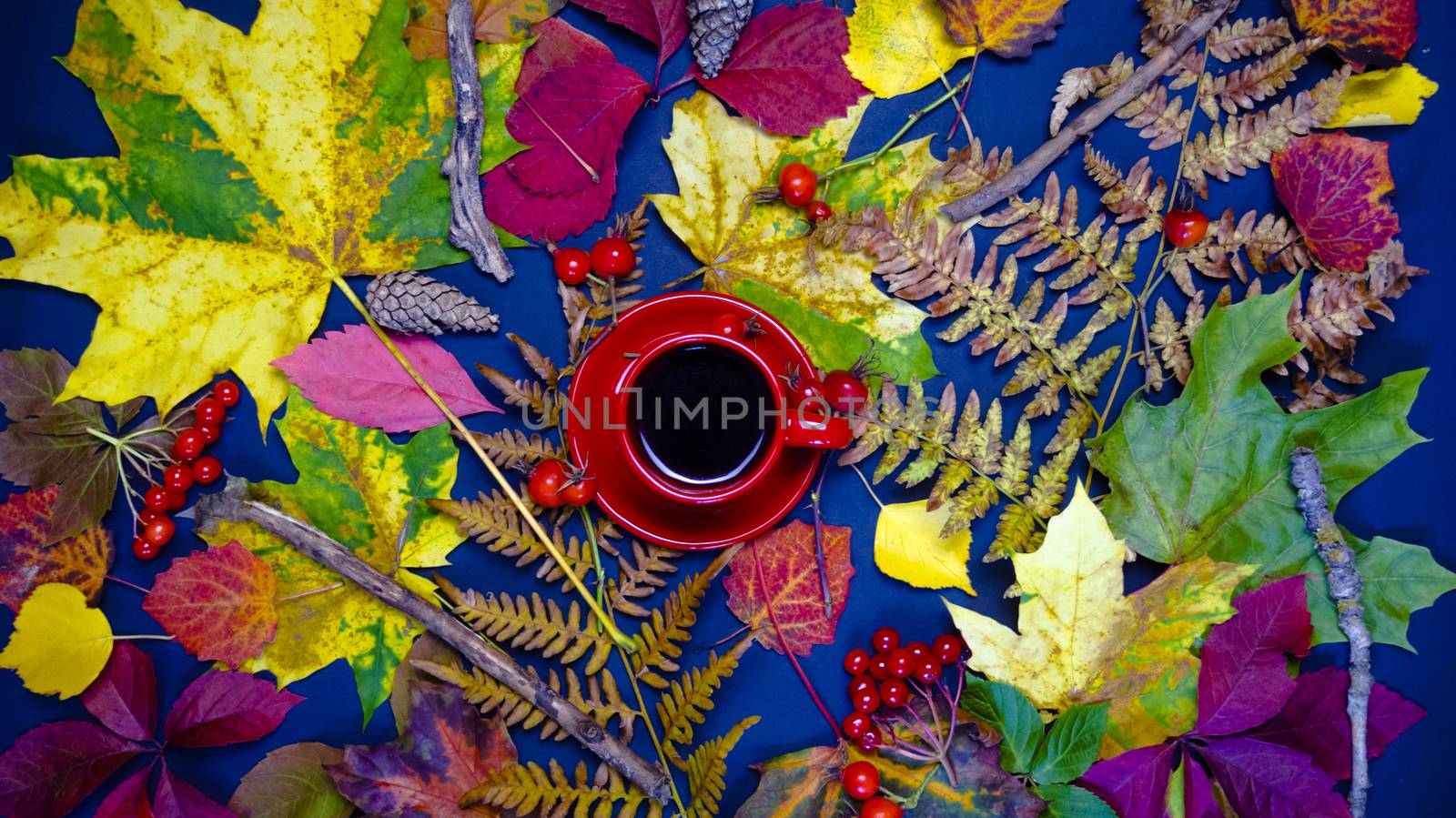 A hot Cup of tea surrounded by autumn leaves. The concept of autumn