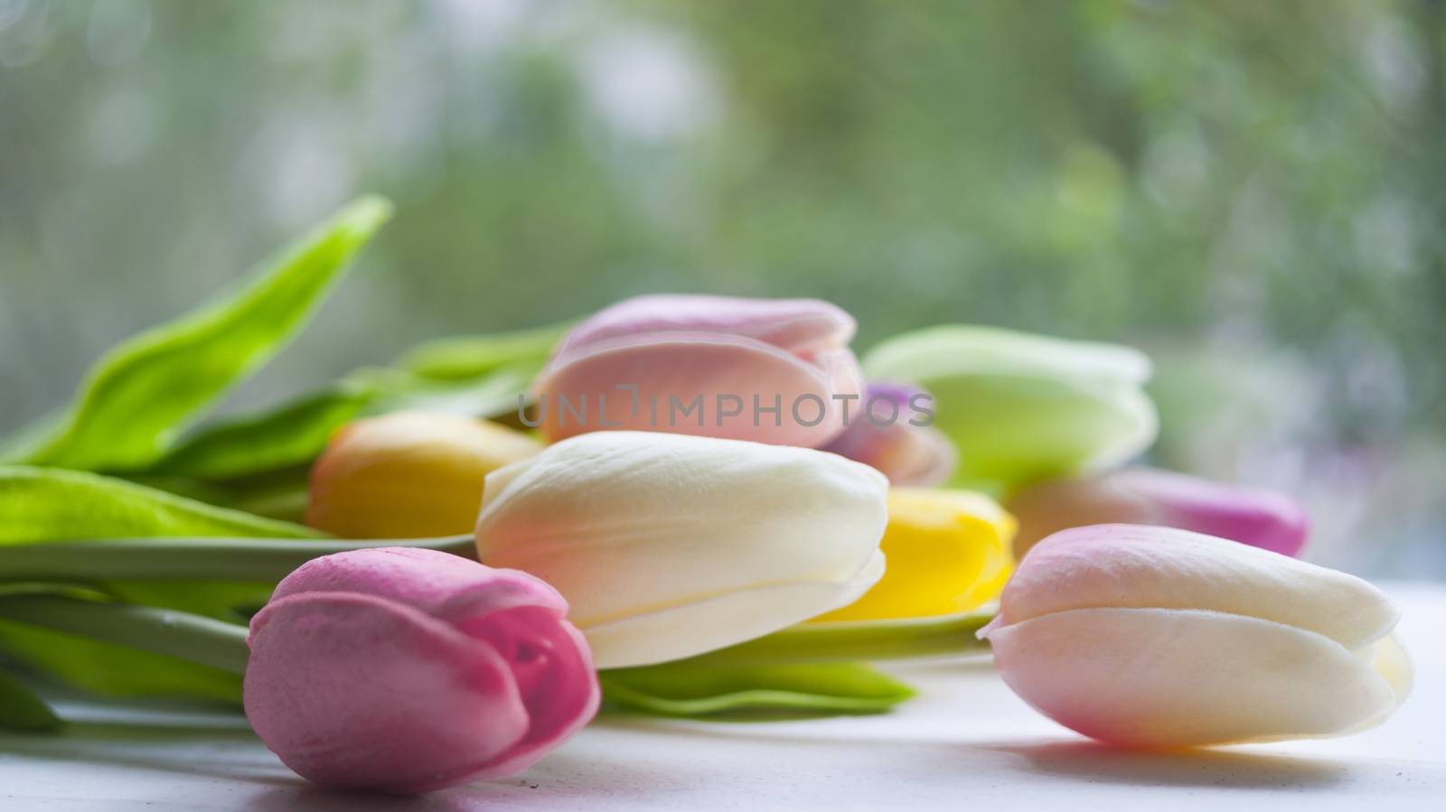 Tulips on the table, a bunch. Gift. Morning.