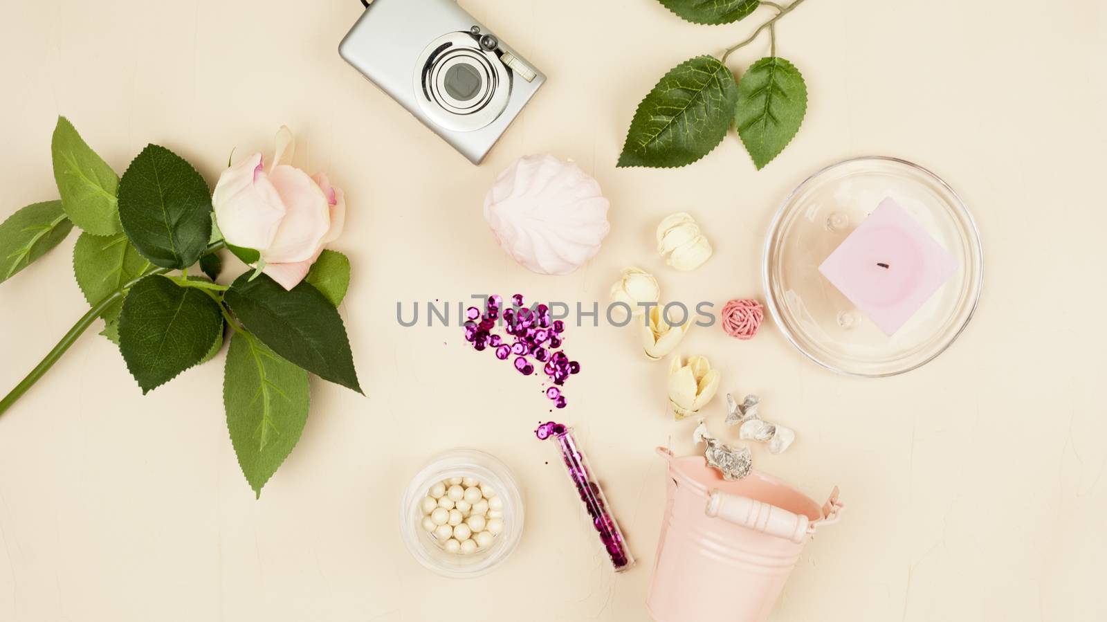 Decorative pail, paint, dried flowers, glitter, camera, roses on a light background. Still life.