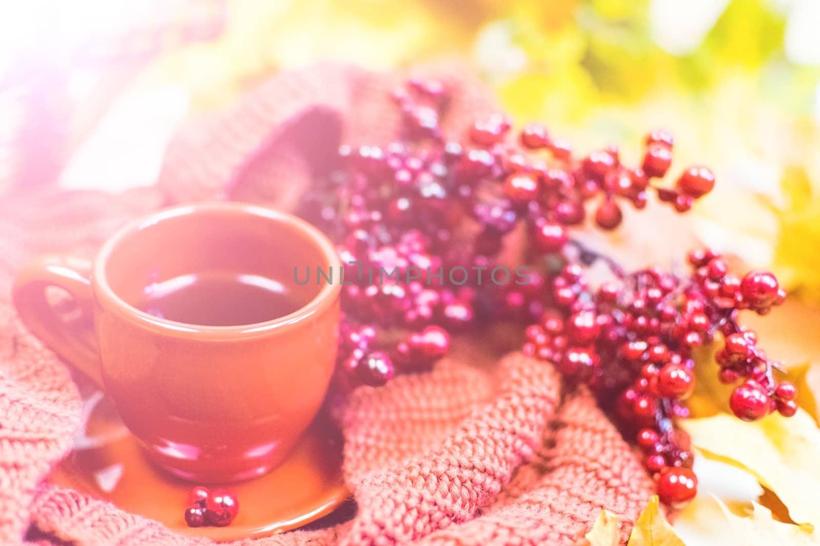 Cup of tea, autumn leaves, red scarf. Still life.