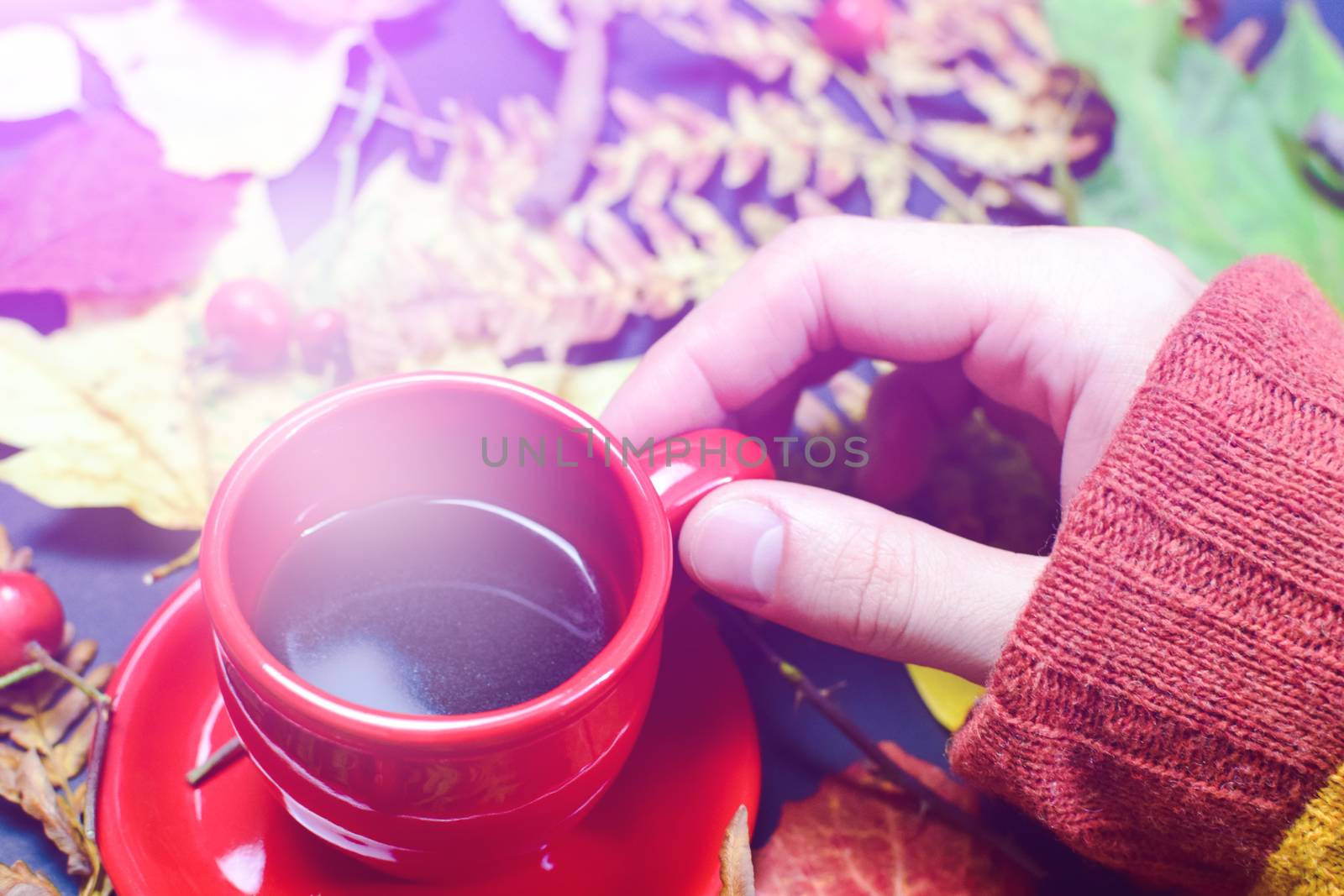 Man drinks hot tea around autumn leaves. The concept of autumn, cold.