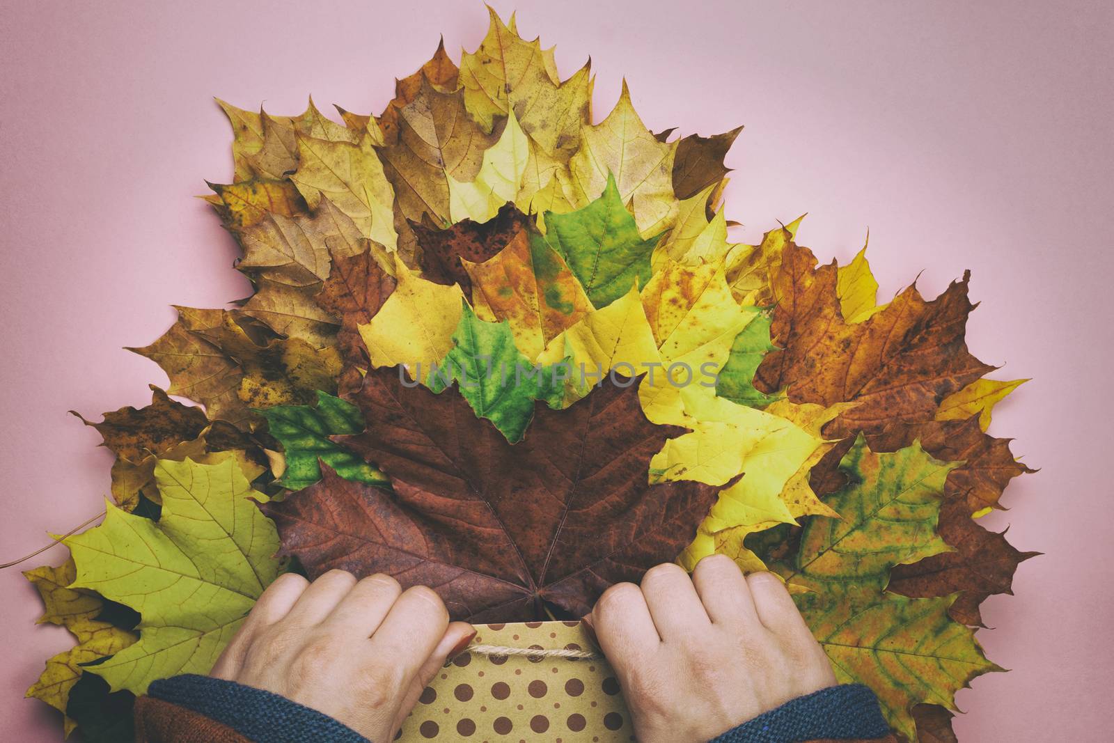 Girl holding a package with autumn leaves